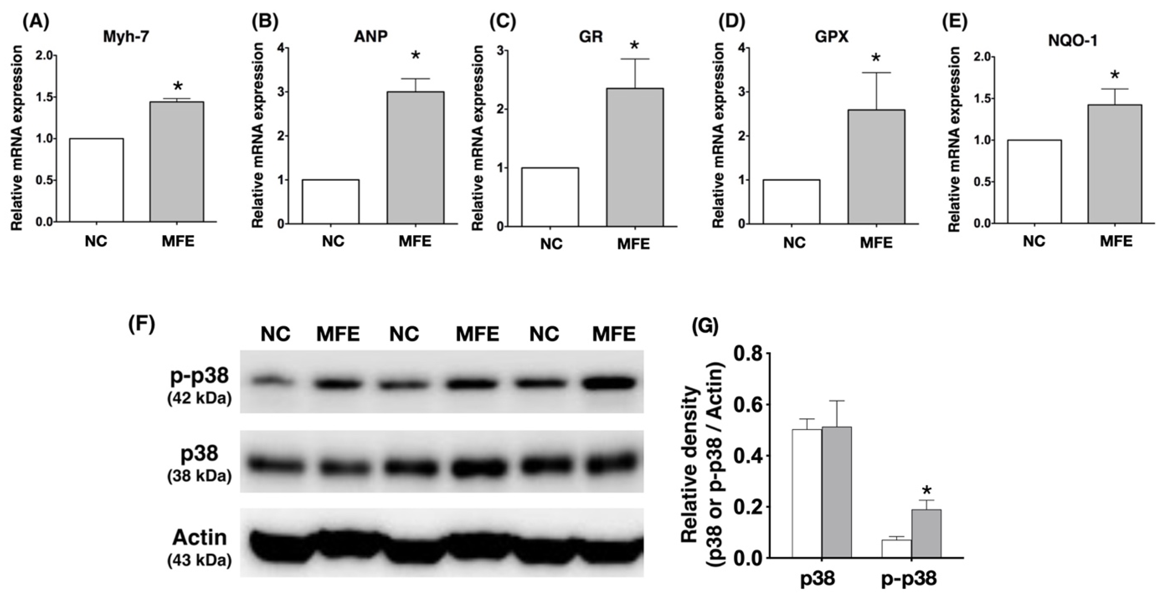 Nutrients 13 03267 g006 Nutrients 13 03267 g006