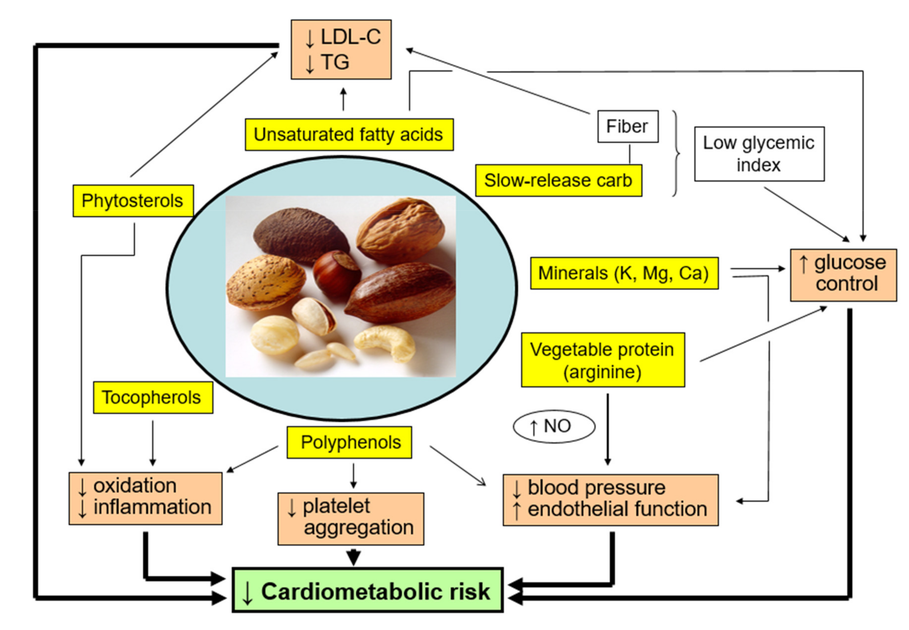 Nutrients 13 03269 g002