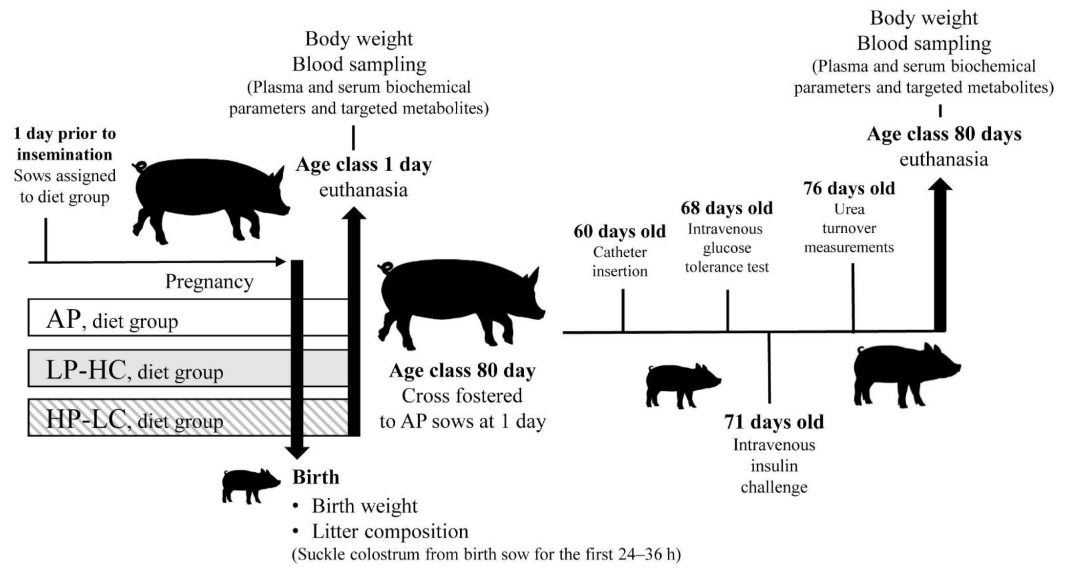 Nutrients 13 03286 g001