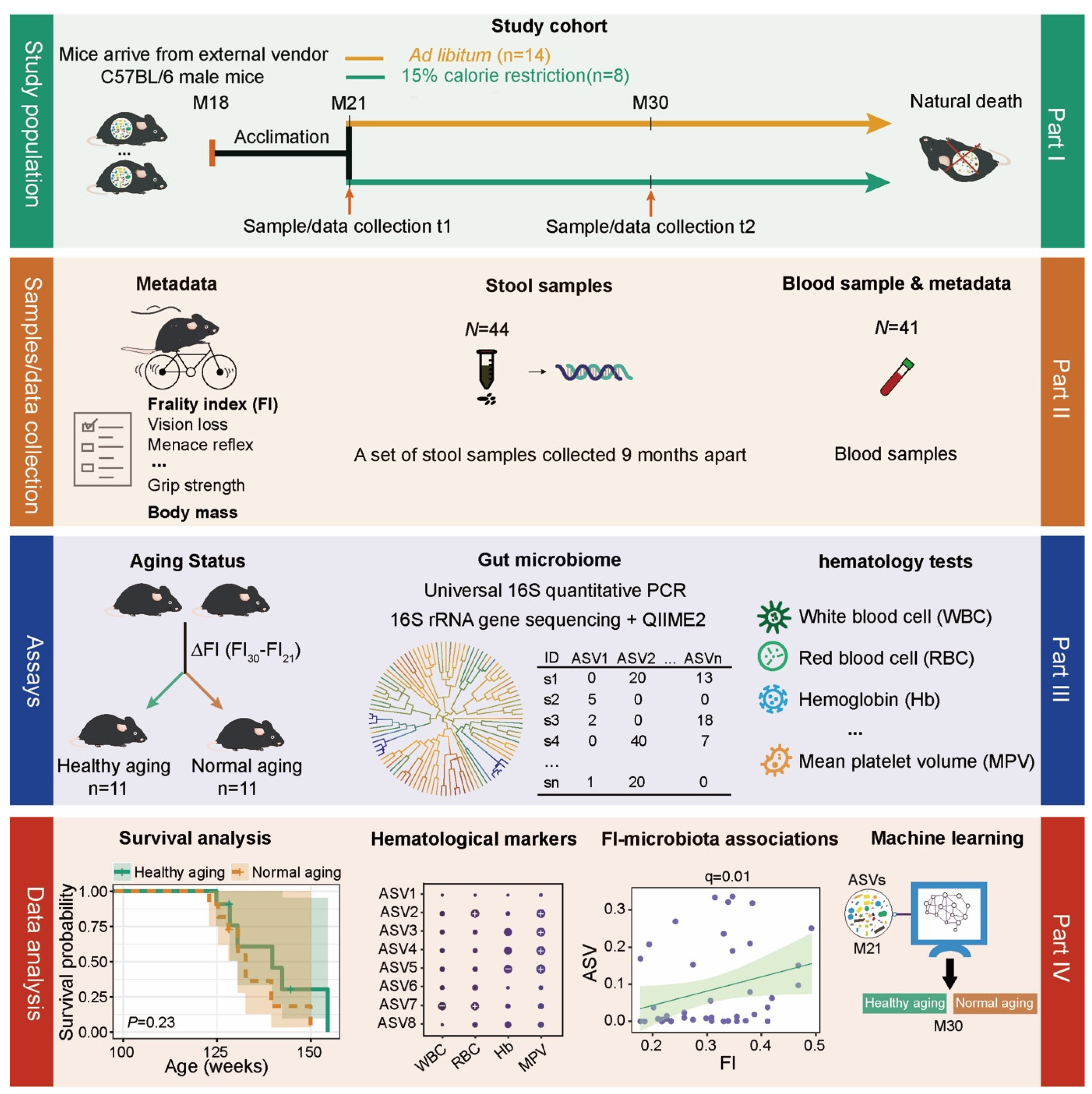Nutrients 13 03290 g001