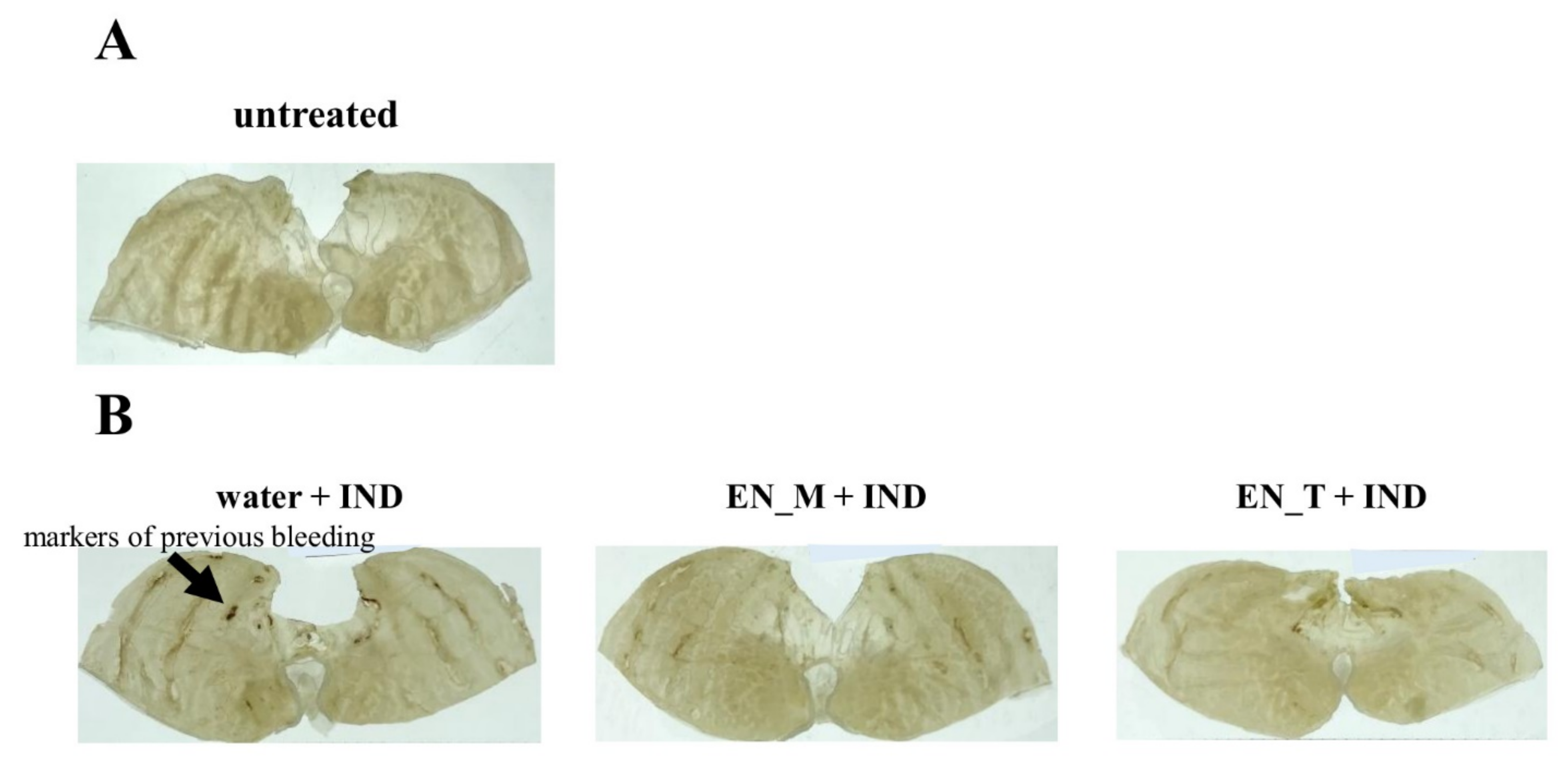 Nutrients 13 03297 g002