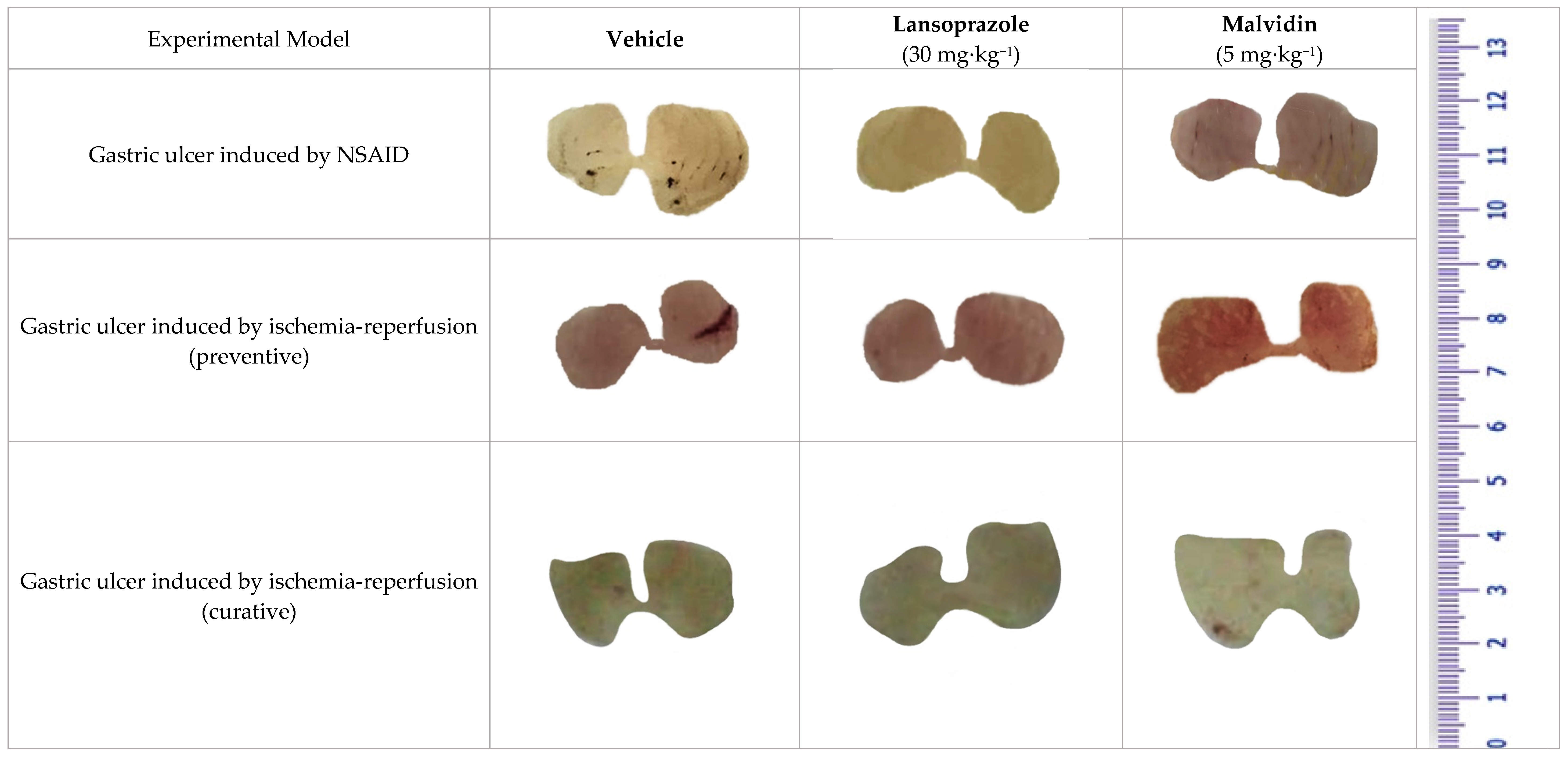 Nutrients 13 03312 g001
