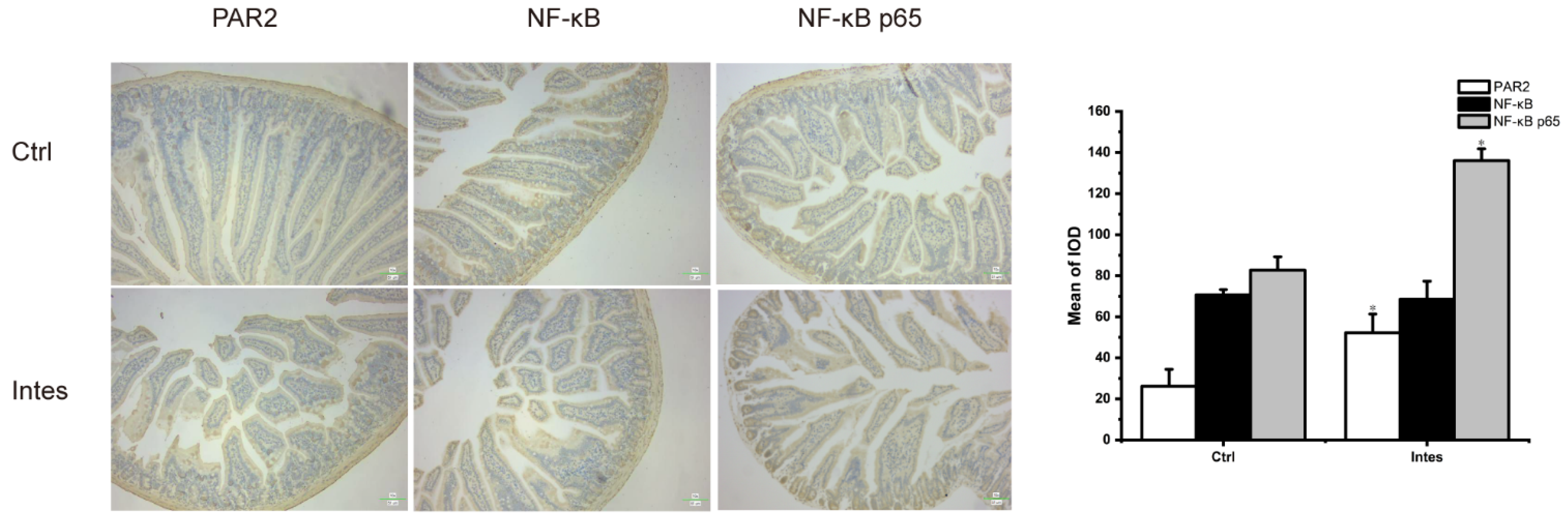 Nutrients 13 03315 g010