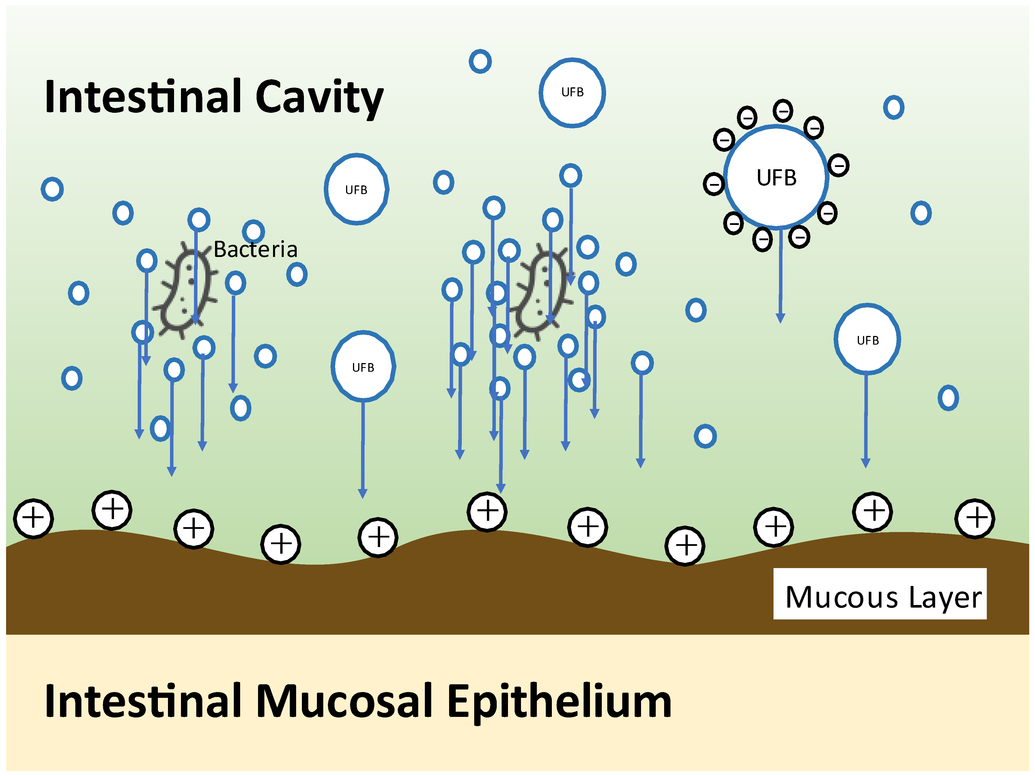 Nutrients 13 03326 g003 550