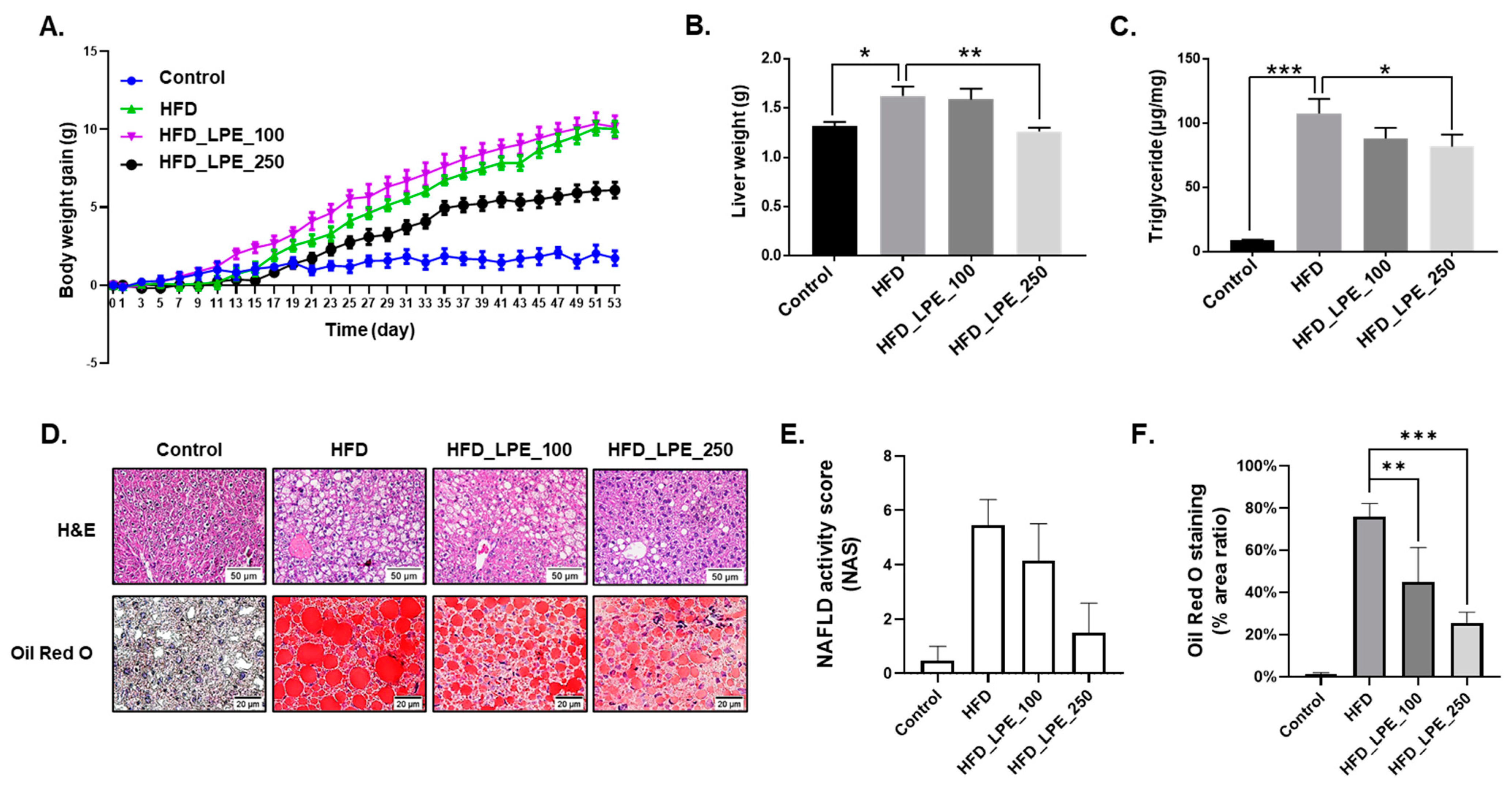 Nutrients 13 03338 g001 Nutrients 13 03338 g001