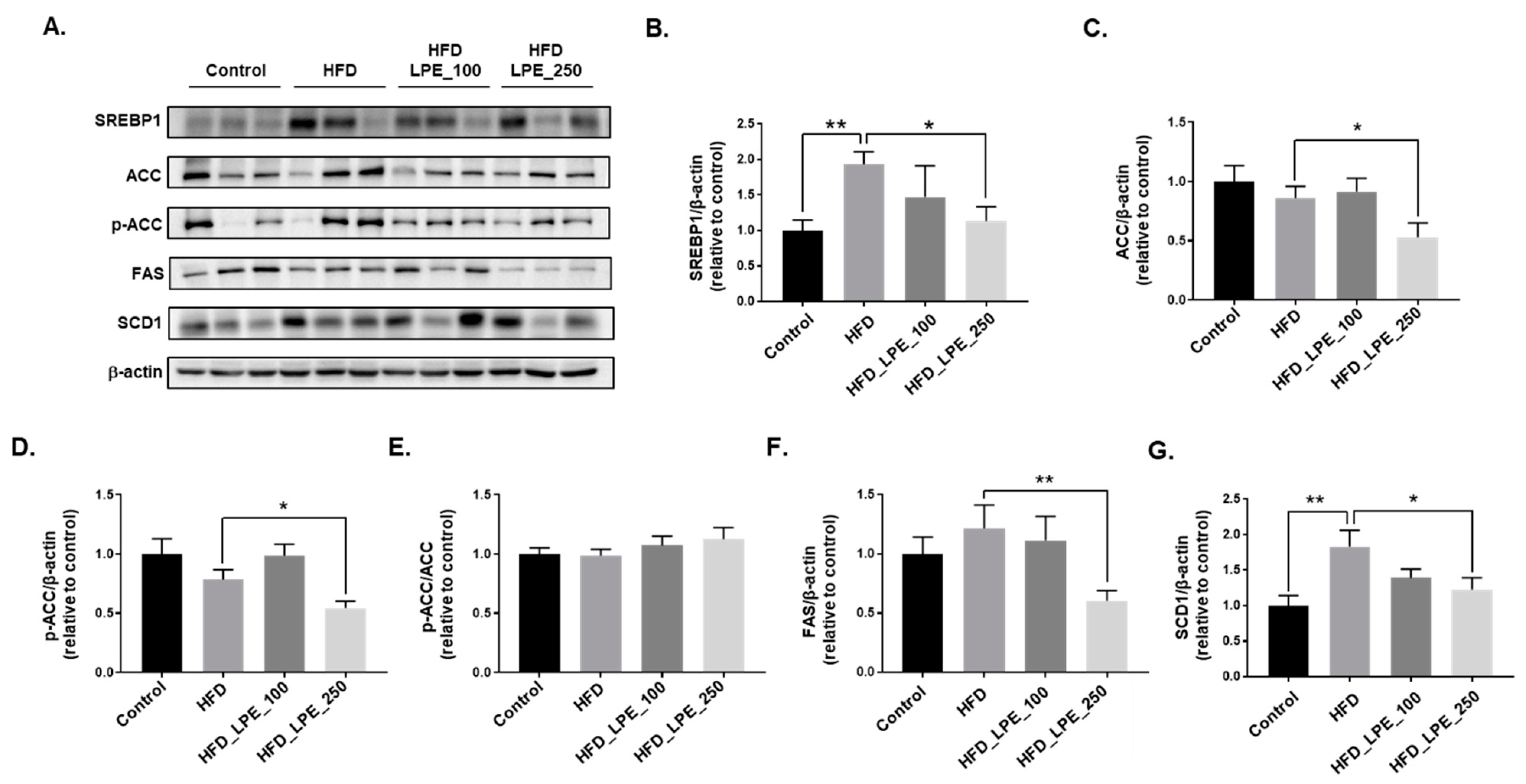Nutrients 13 03338 g003 Nutrients 13 03338 g003
