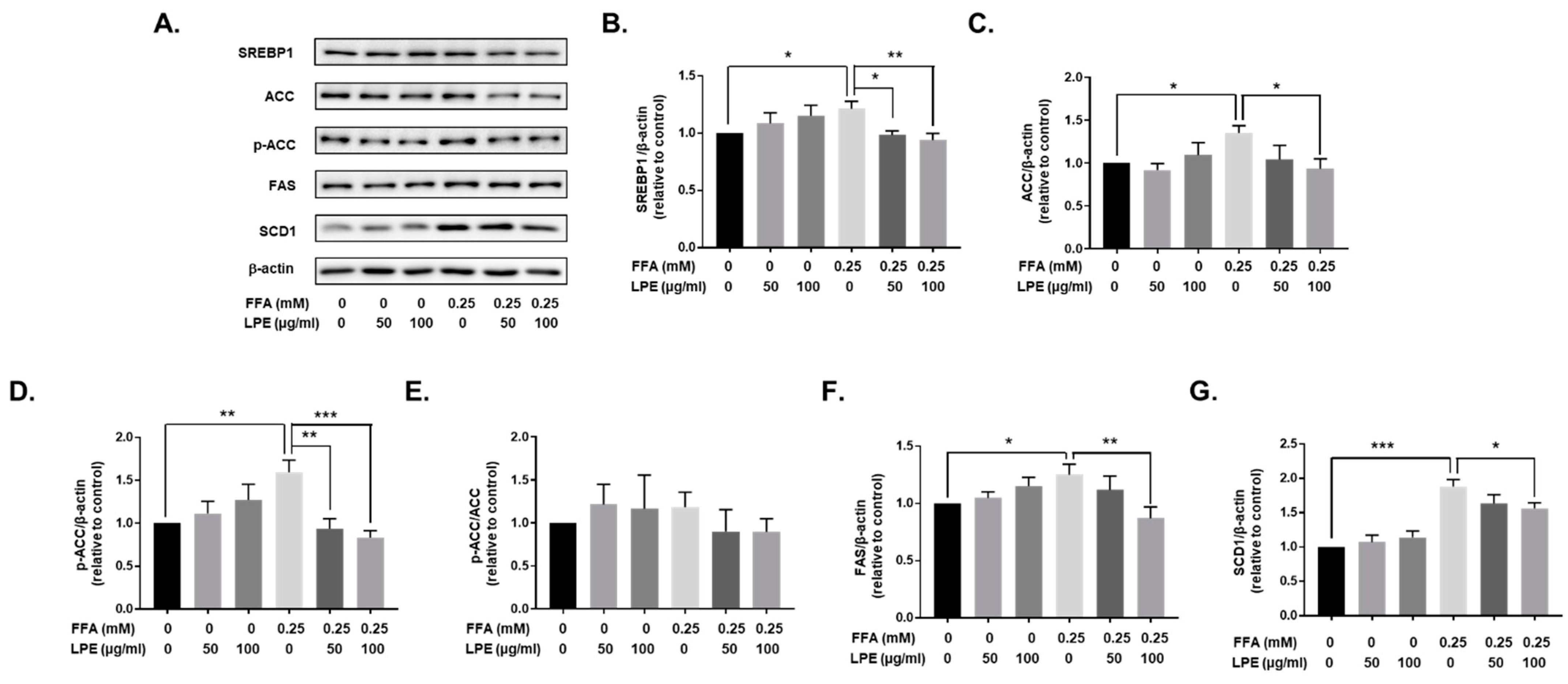Nutrients 13 03338 g006 Nutrients 13 03338 g006