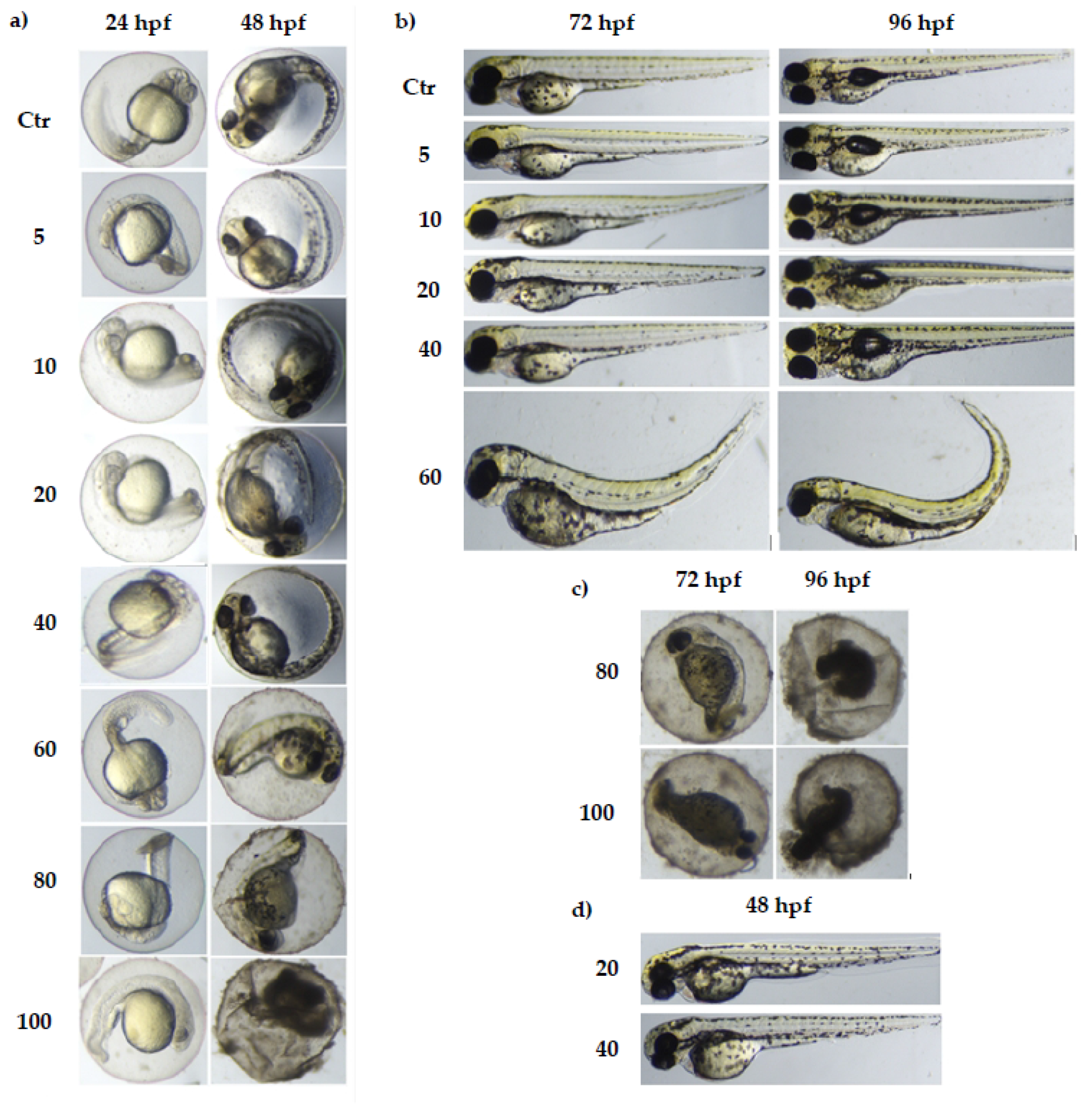 Nutrients 13 03346 g003