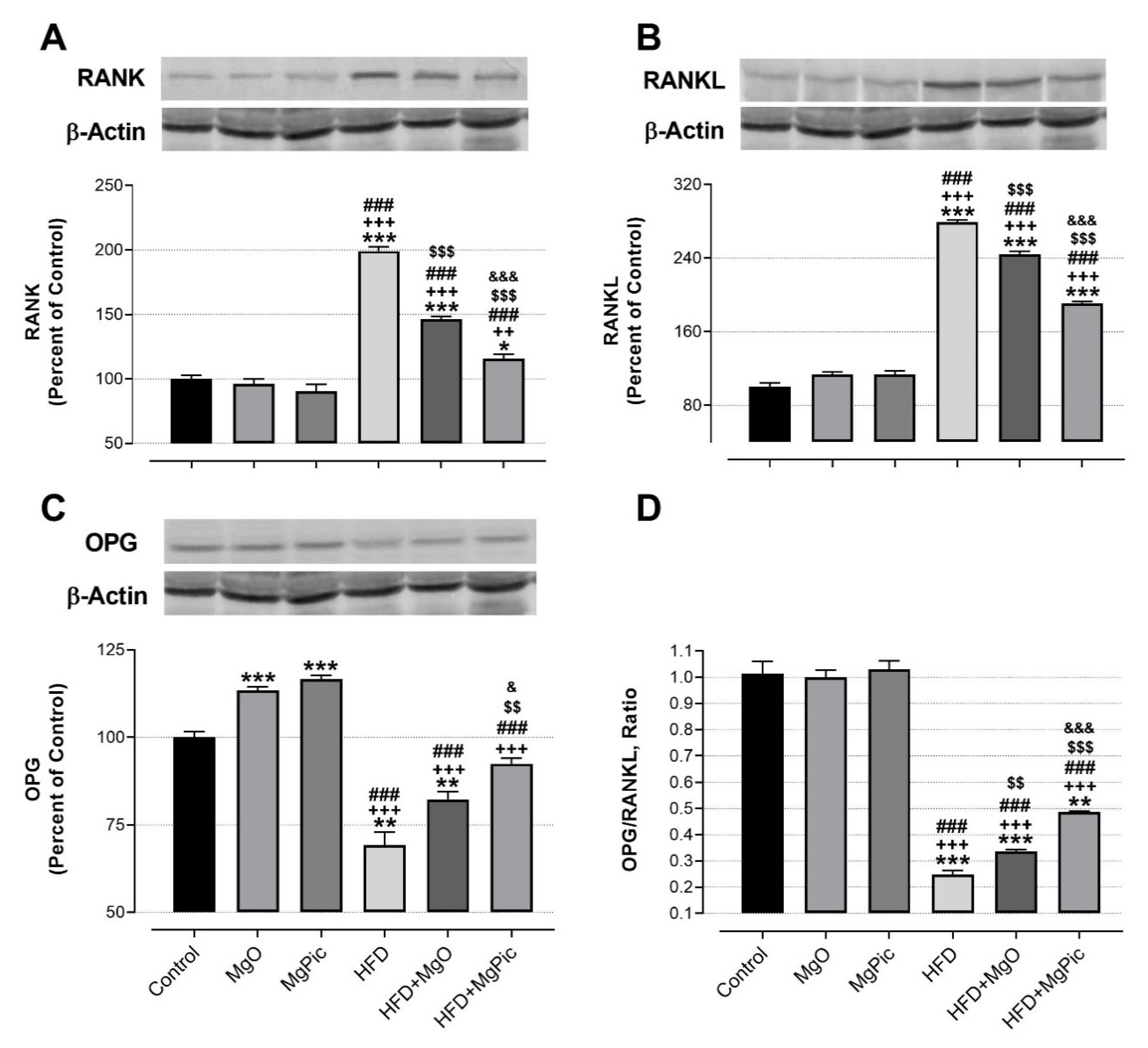 Nutrients 13 03353 g001