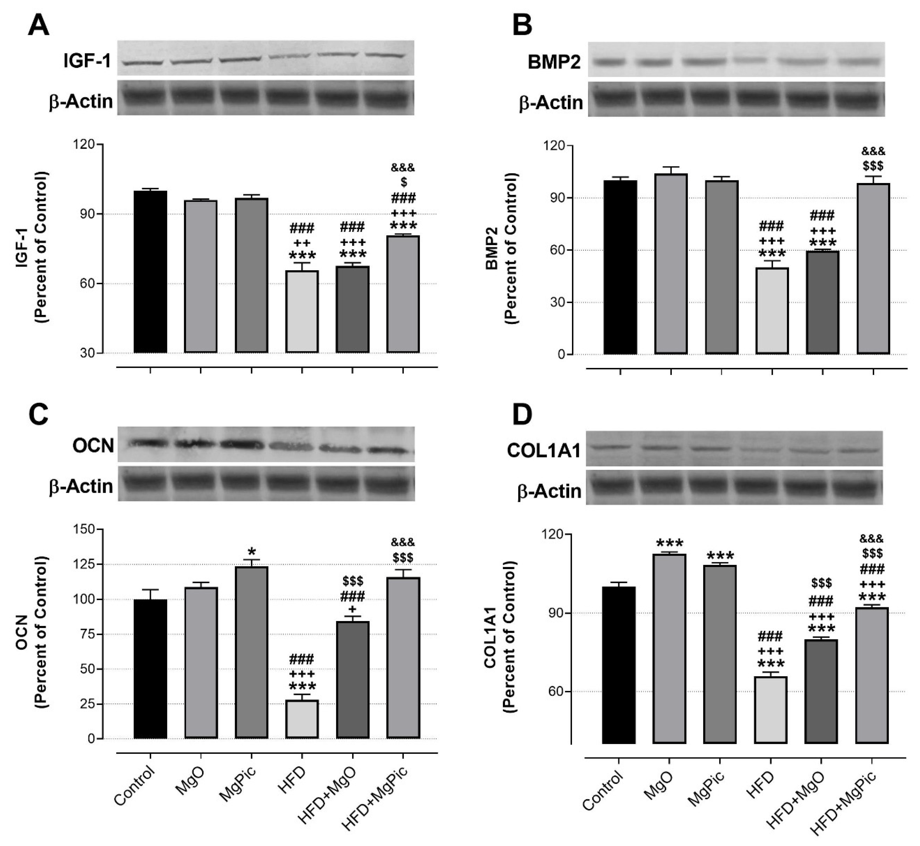 Nutrients 13 03353 g002