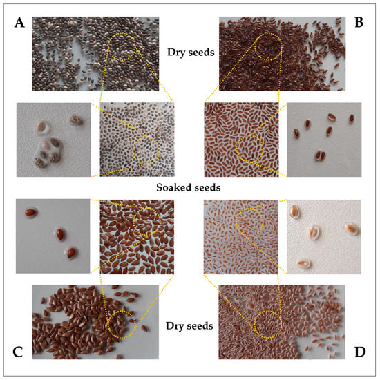 Nutrients Free FullText The Renaissance of Plant Mucilage in