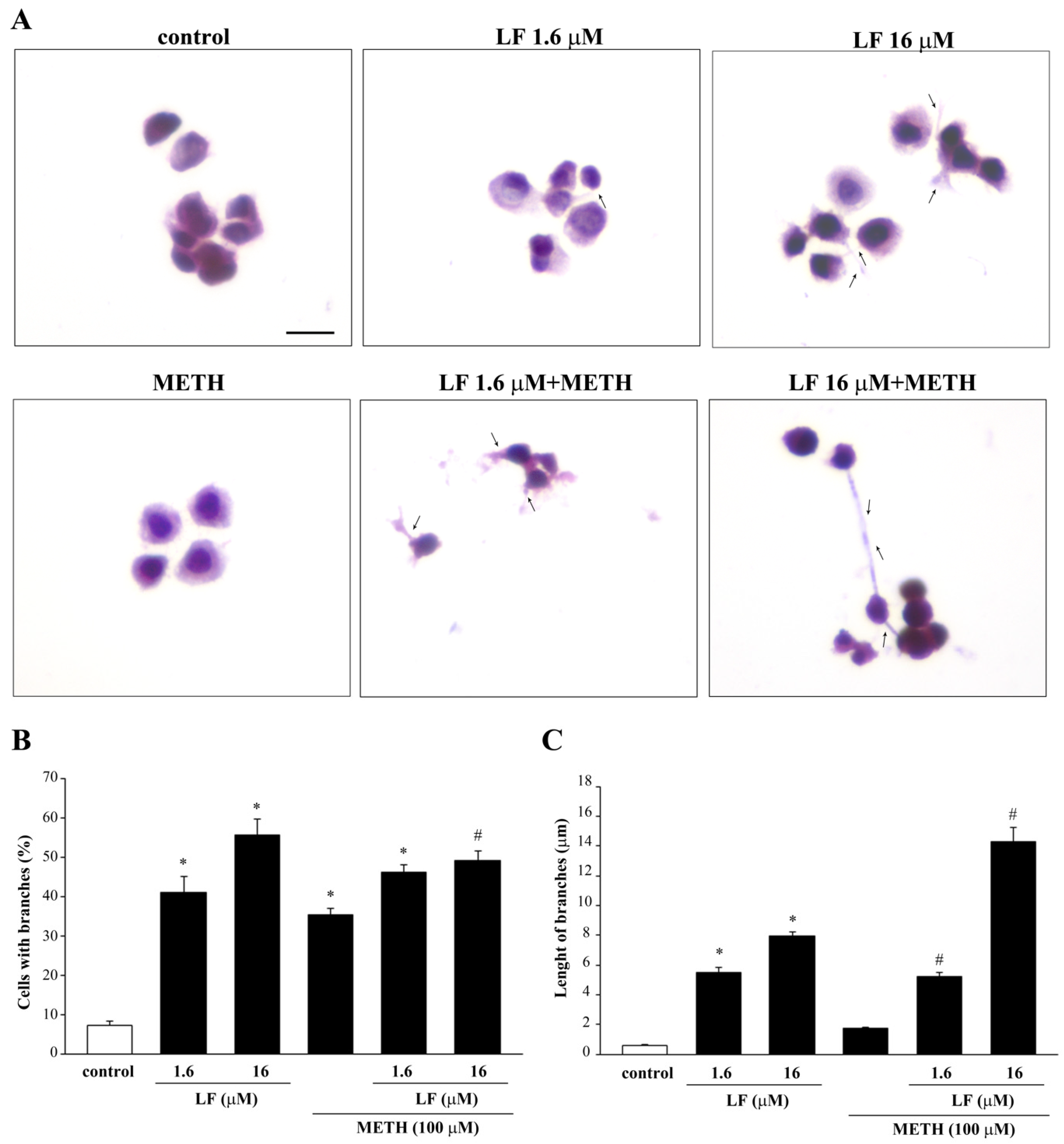 Nutrients 13 03356 g006