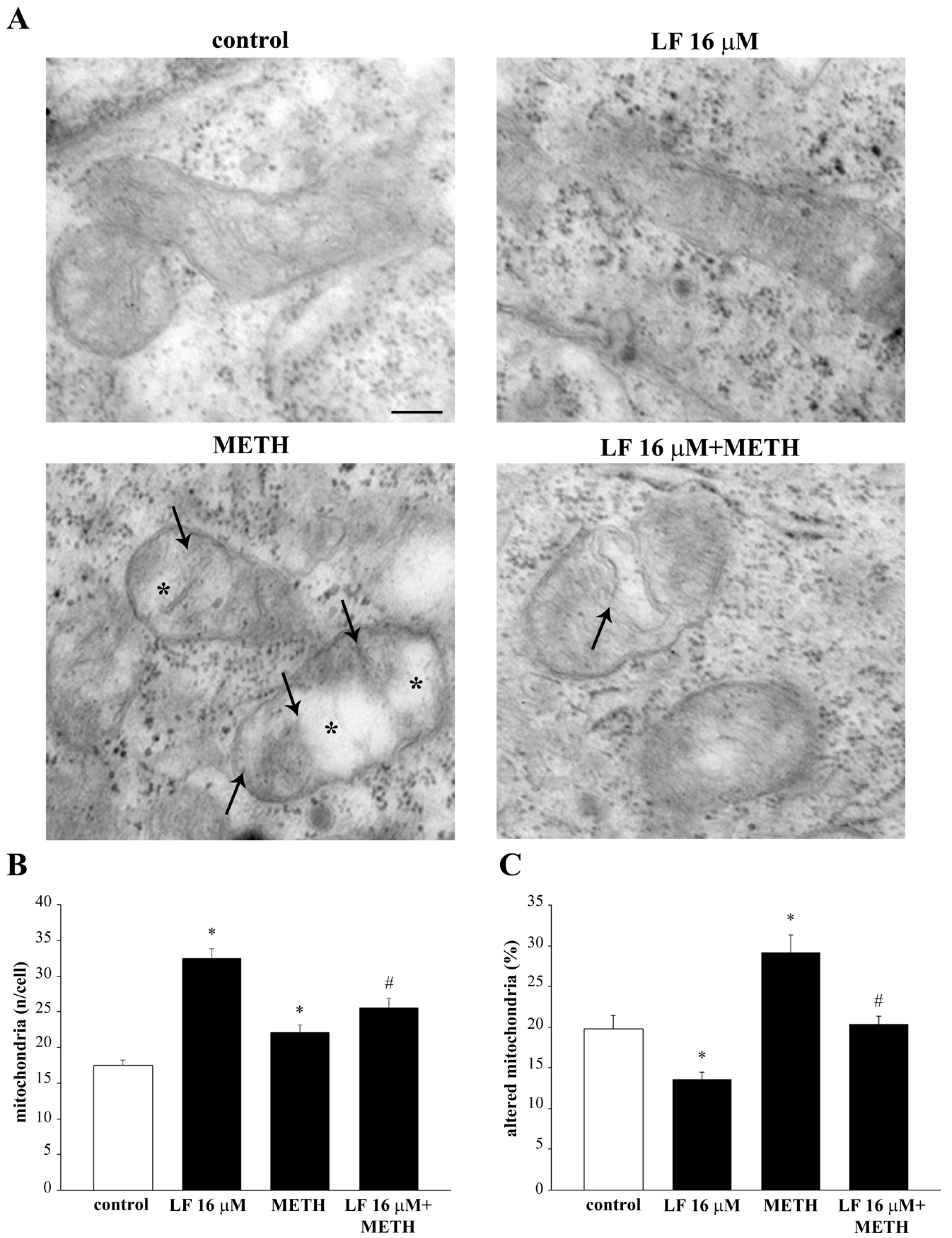 Nutrients 13 03356 g010