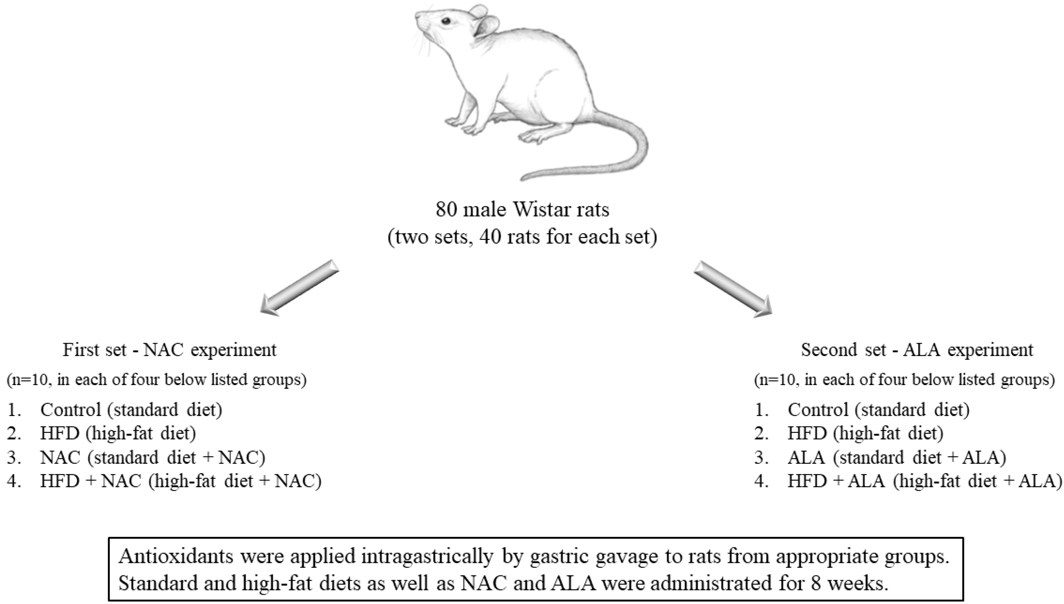 Nutrients 13 03413 sch001 Nutrients 13 03413 sch001