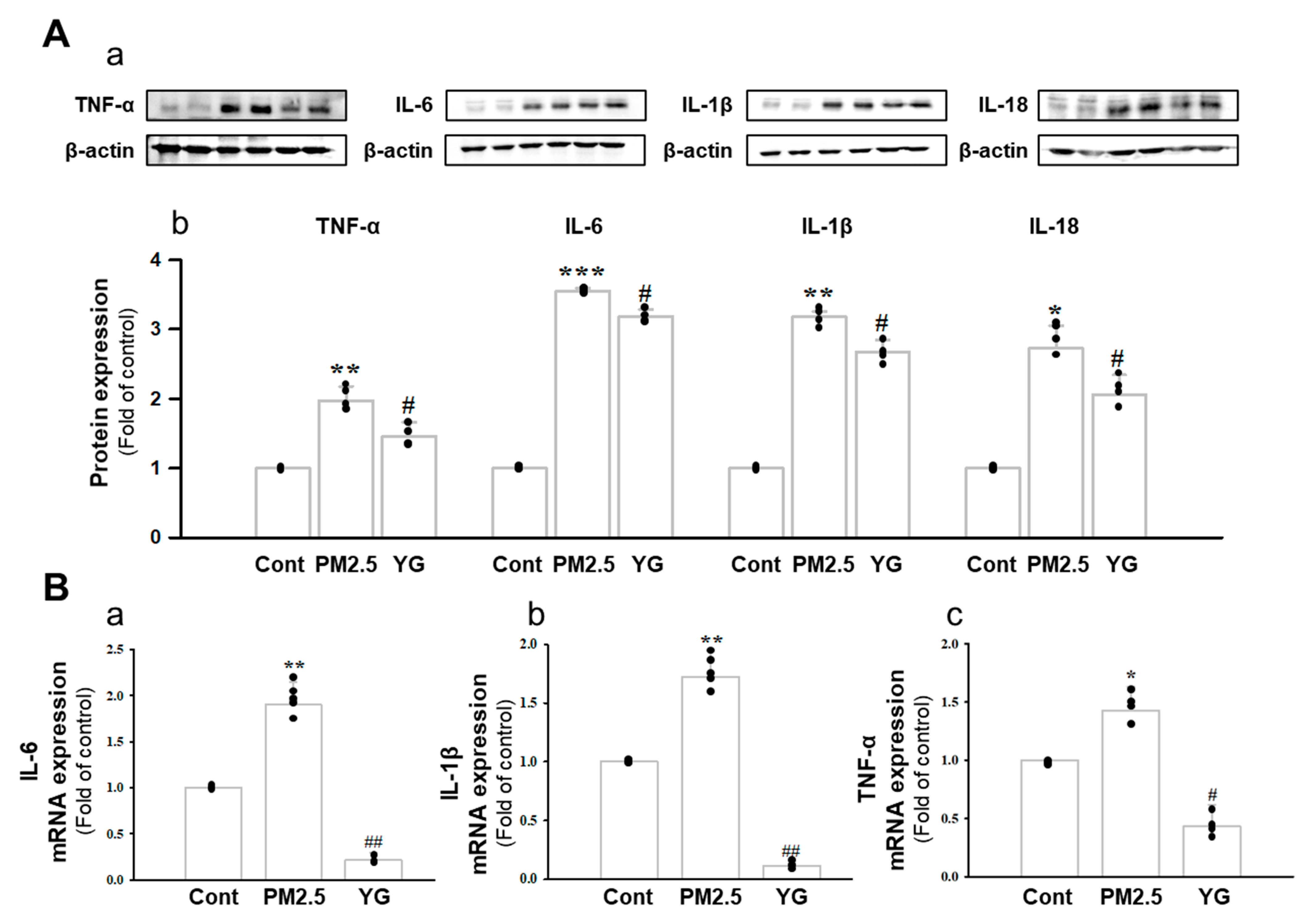 Nutrients 13 03414 g007 Nutrients 13 03414 g007