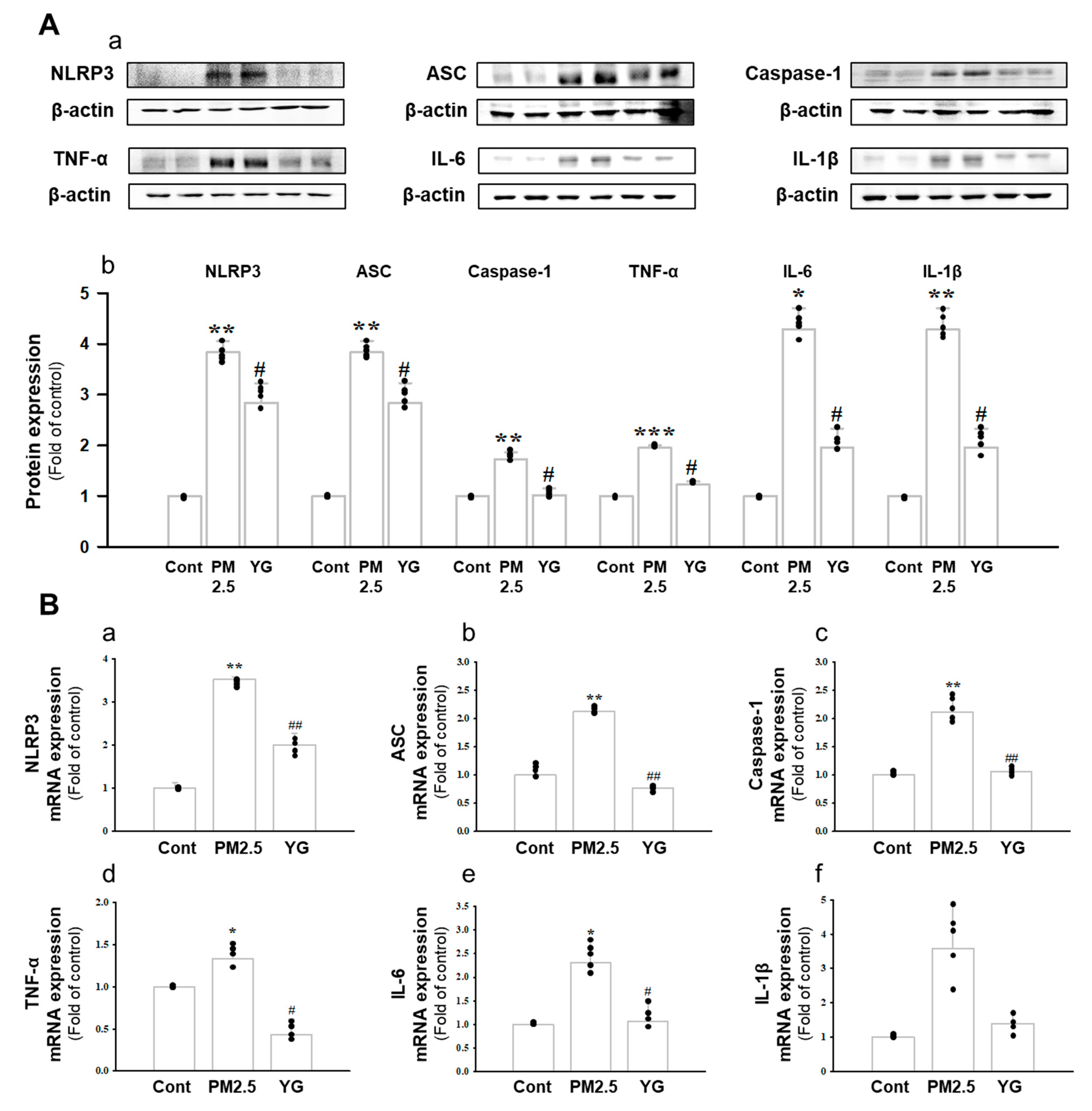 Nutrients 13 03414 g008 Nutrients 13 03414 g008