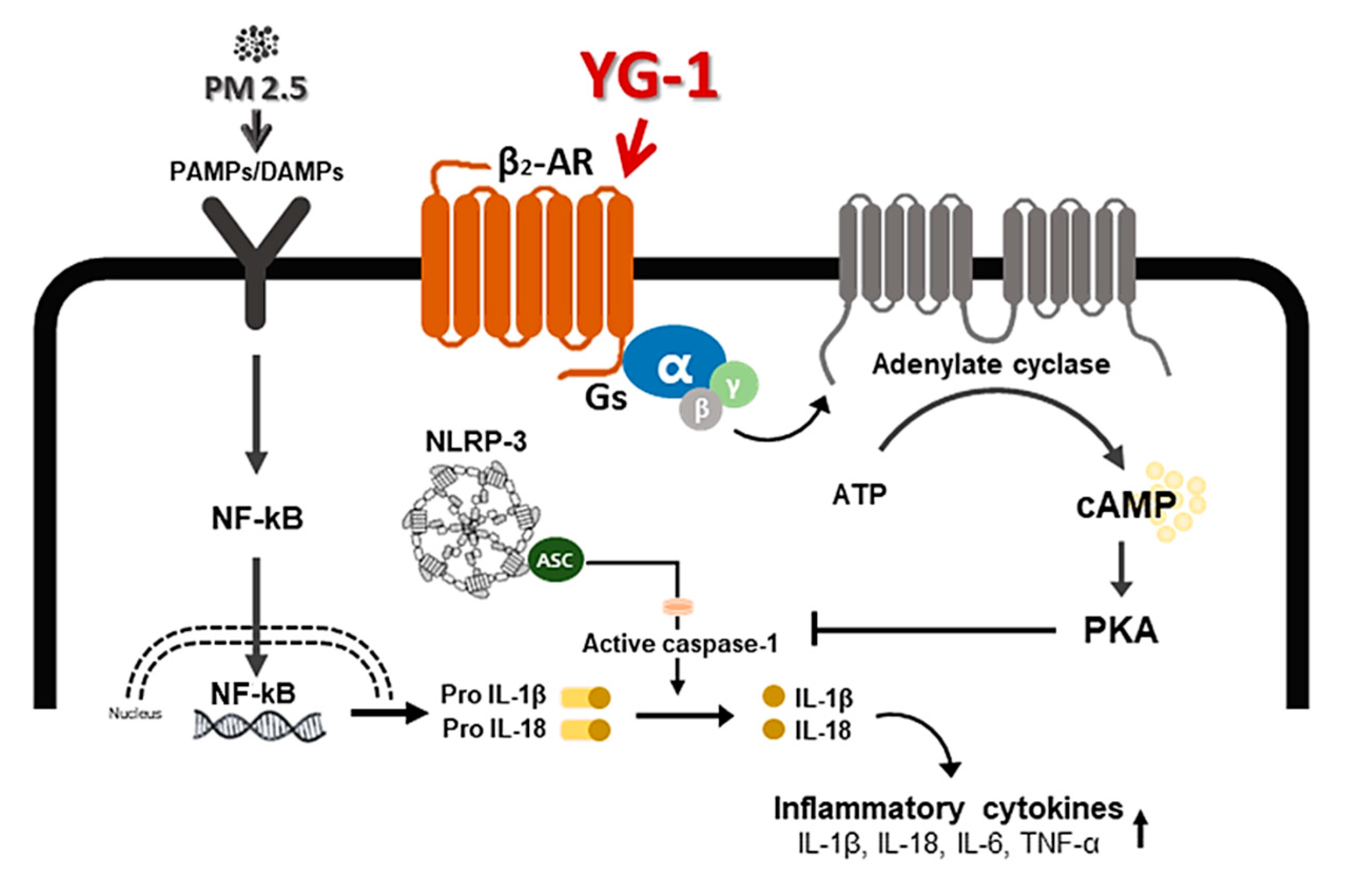 Nutrients 13 03414 g009 Nutrients 13 03414 g009