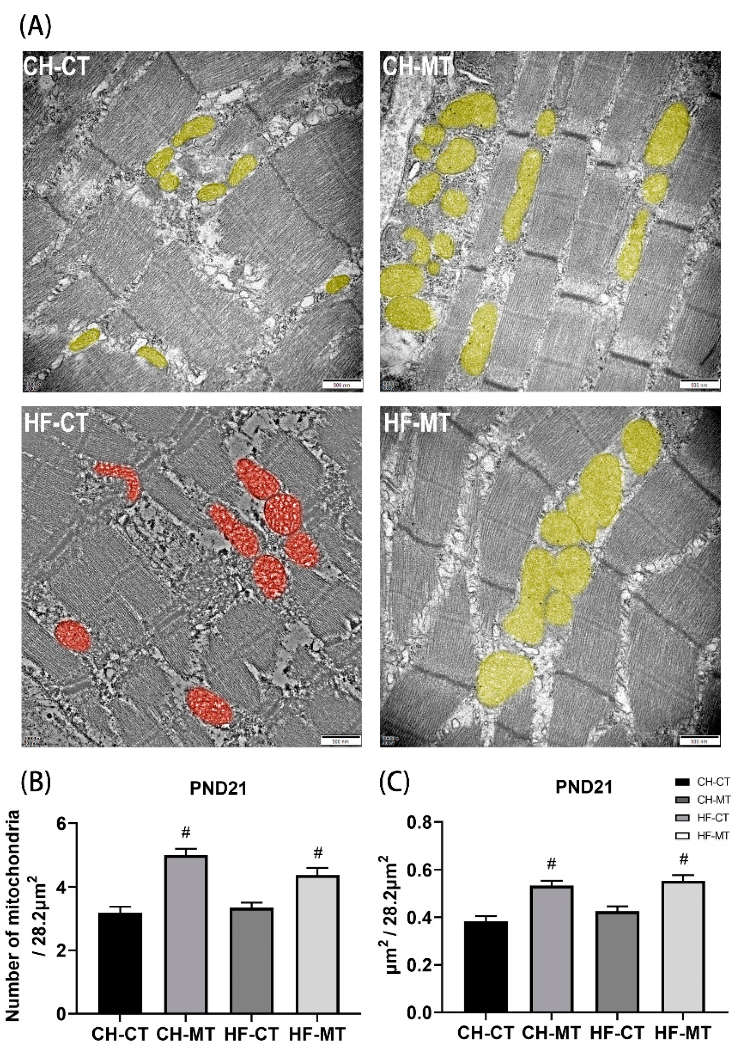 Nutrients 13 03417 g005 Nutrients 13 03417 g005