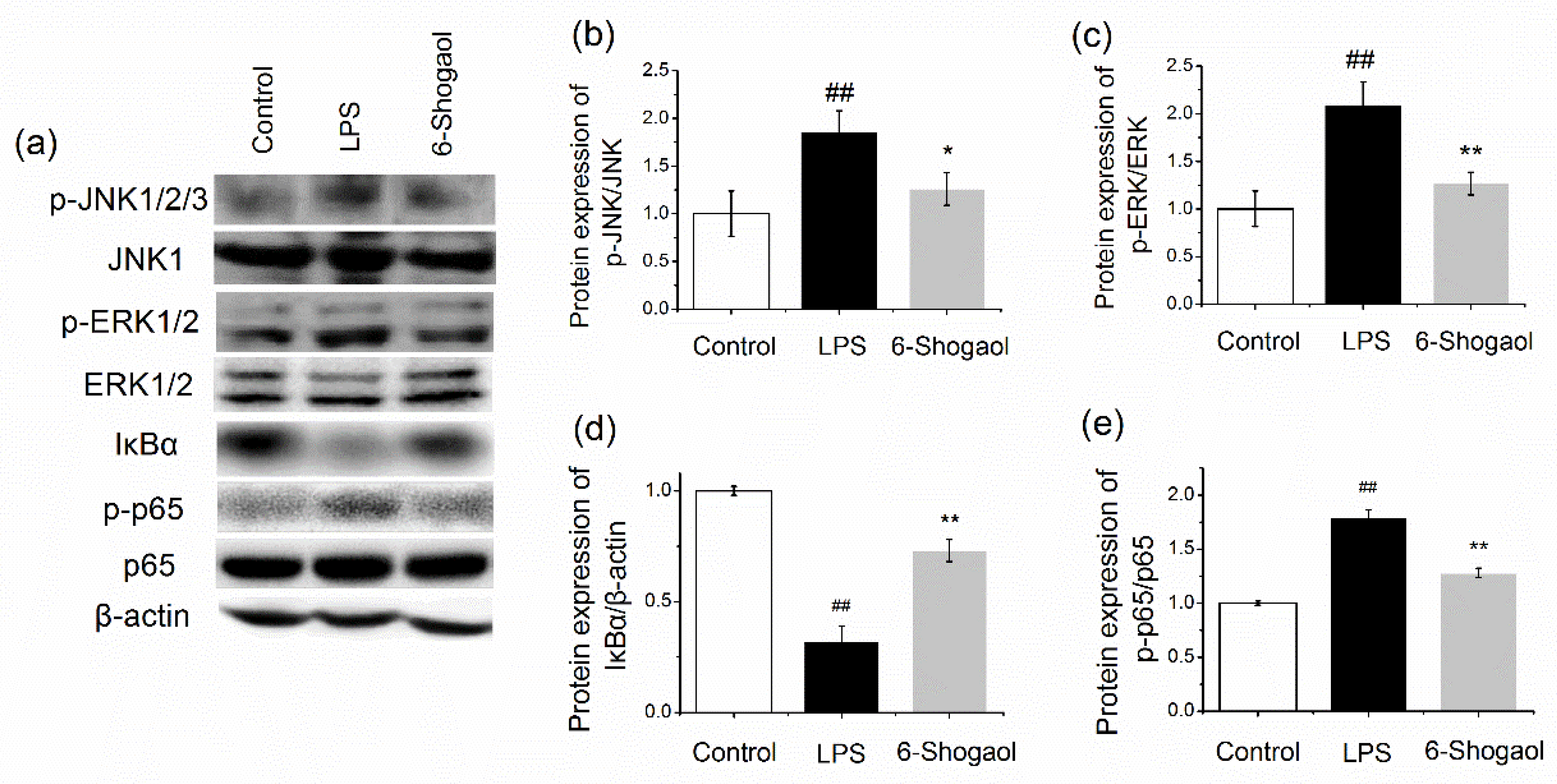 Nutrients 13 03427 g002 Nutrients 13 03427 g002