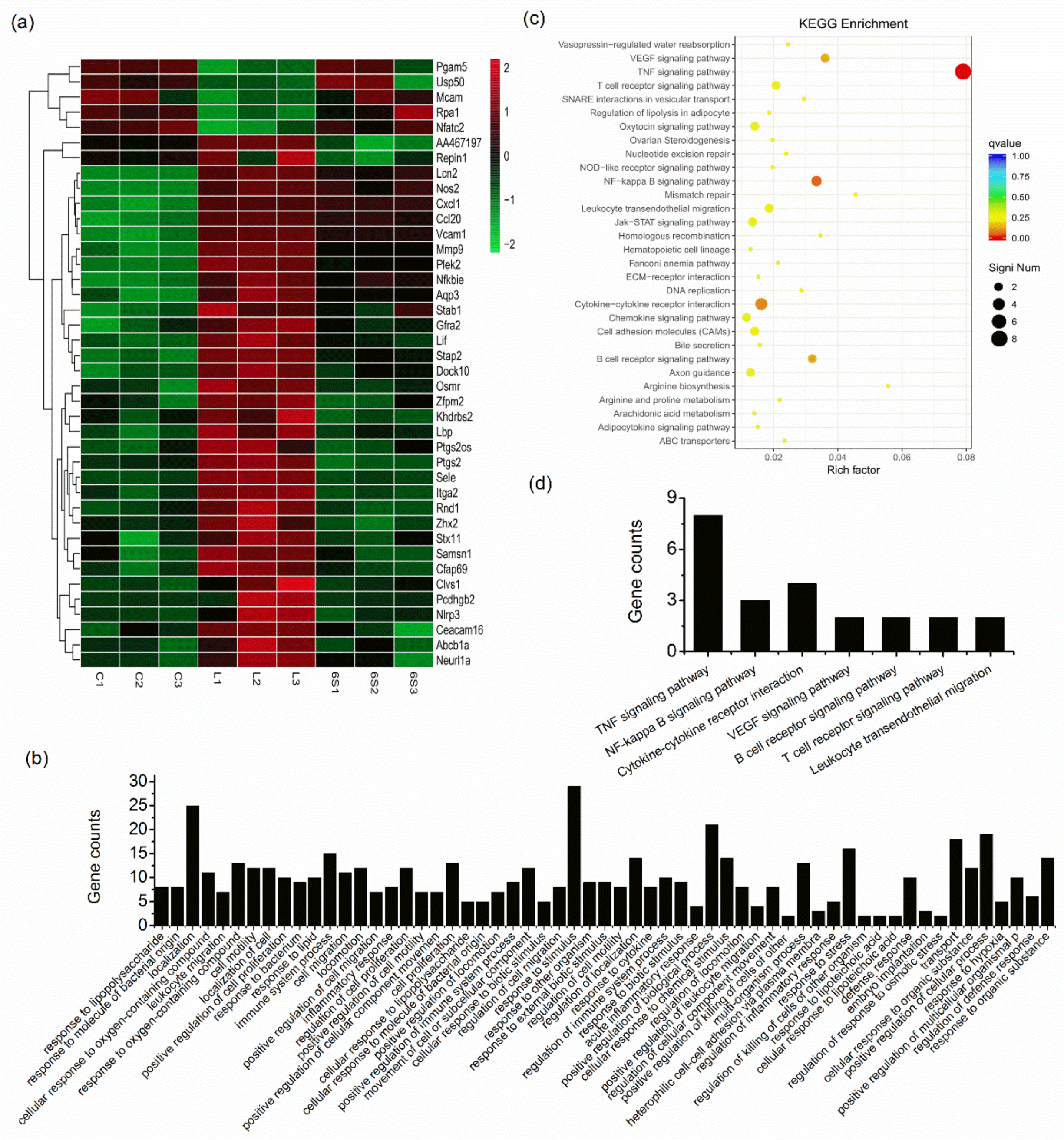 Nutrients 13 03427 g003 Nutrients 13 03427 g003