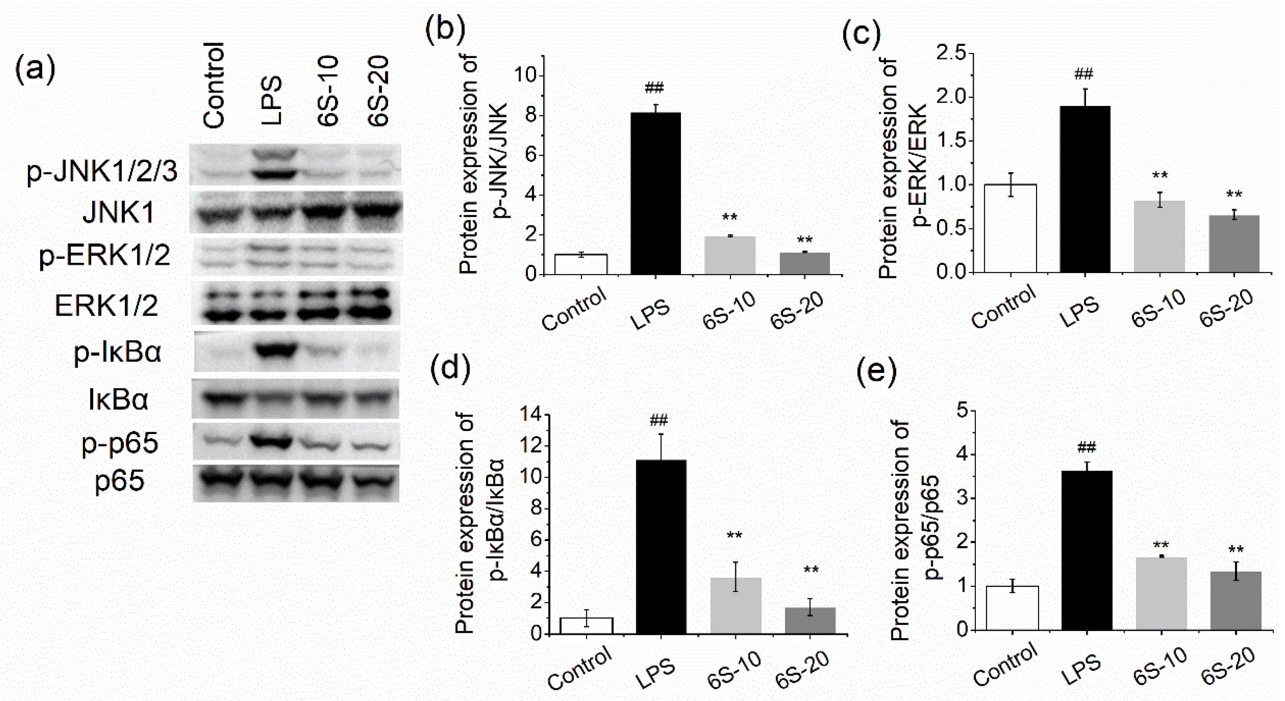 Nutrients 13 03427 g007 Nutrients 13 03427 g007