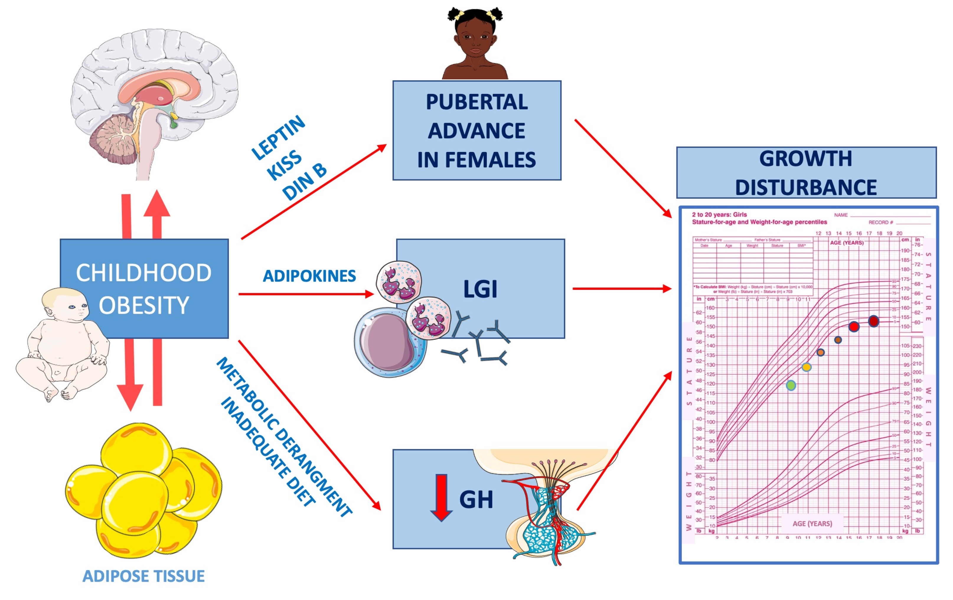Nutrients 13 03434 g002 Nutrients 13 03434 g002