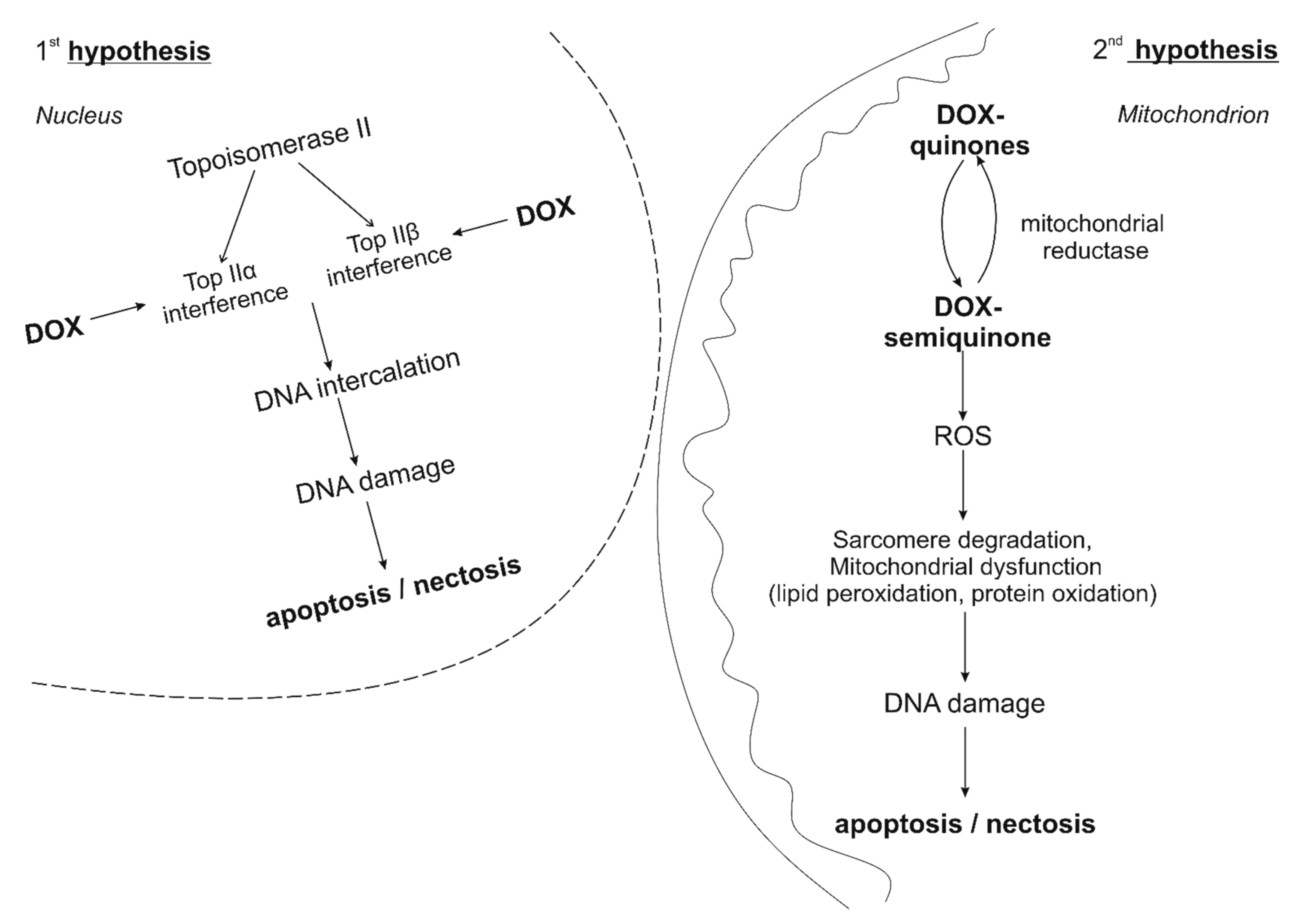 Nutrients 13 03435 g001