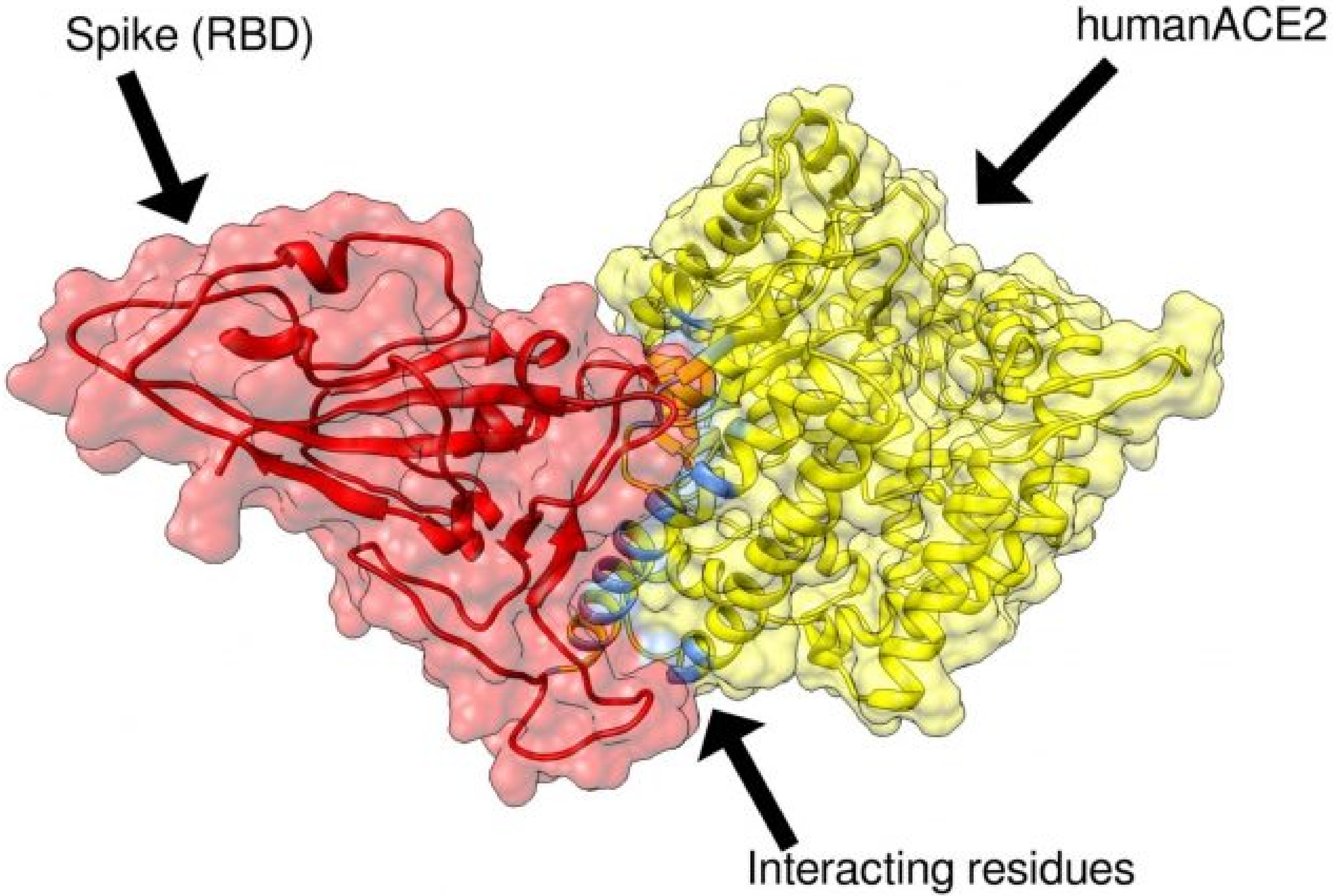 Nutrients 13 03446 g001
