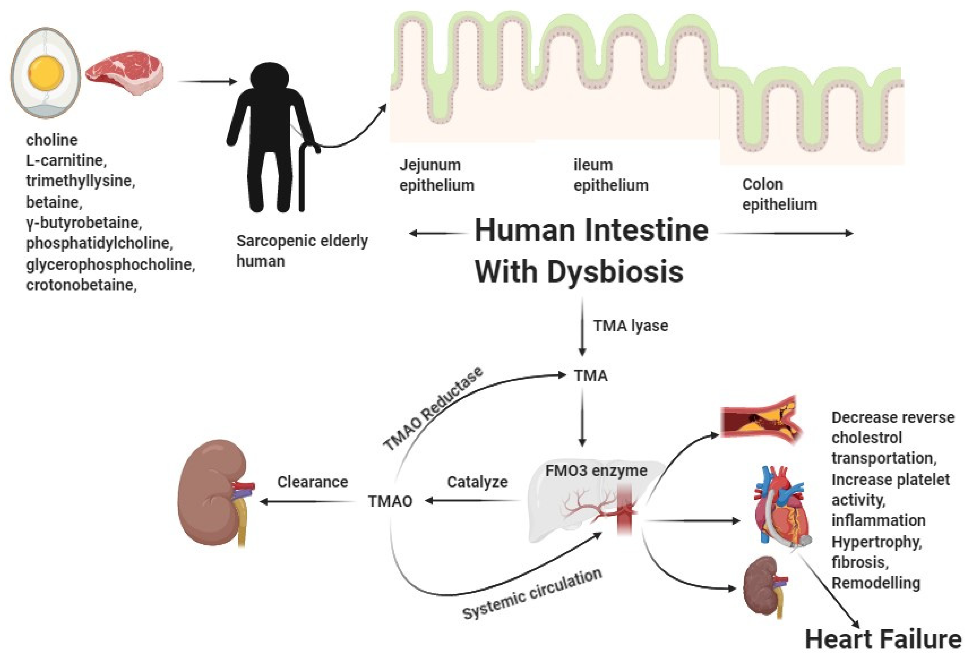 Nutrients 13 03453 g002 550