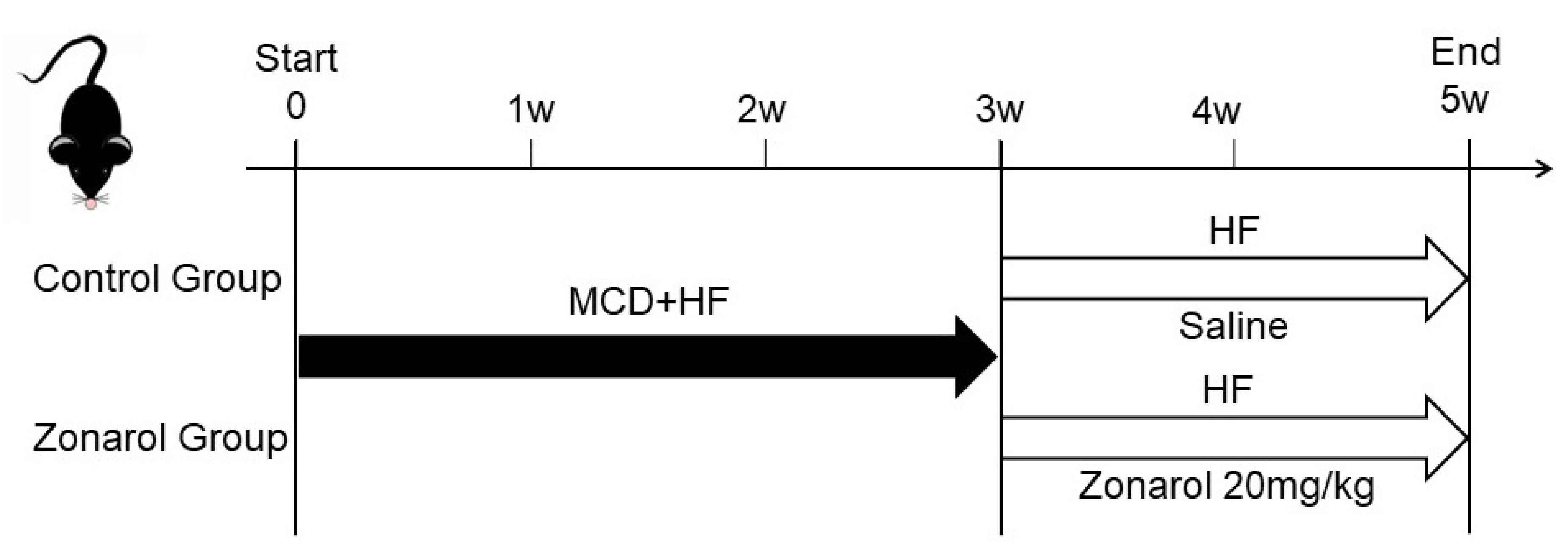Nutrients 13 03455 g001 550