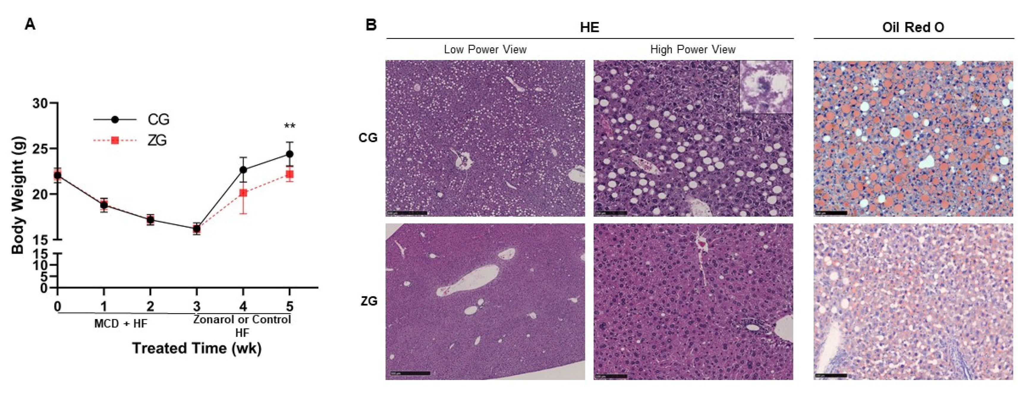 Nutrients 13 03455 g002 550