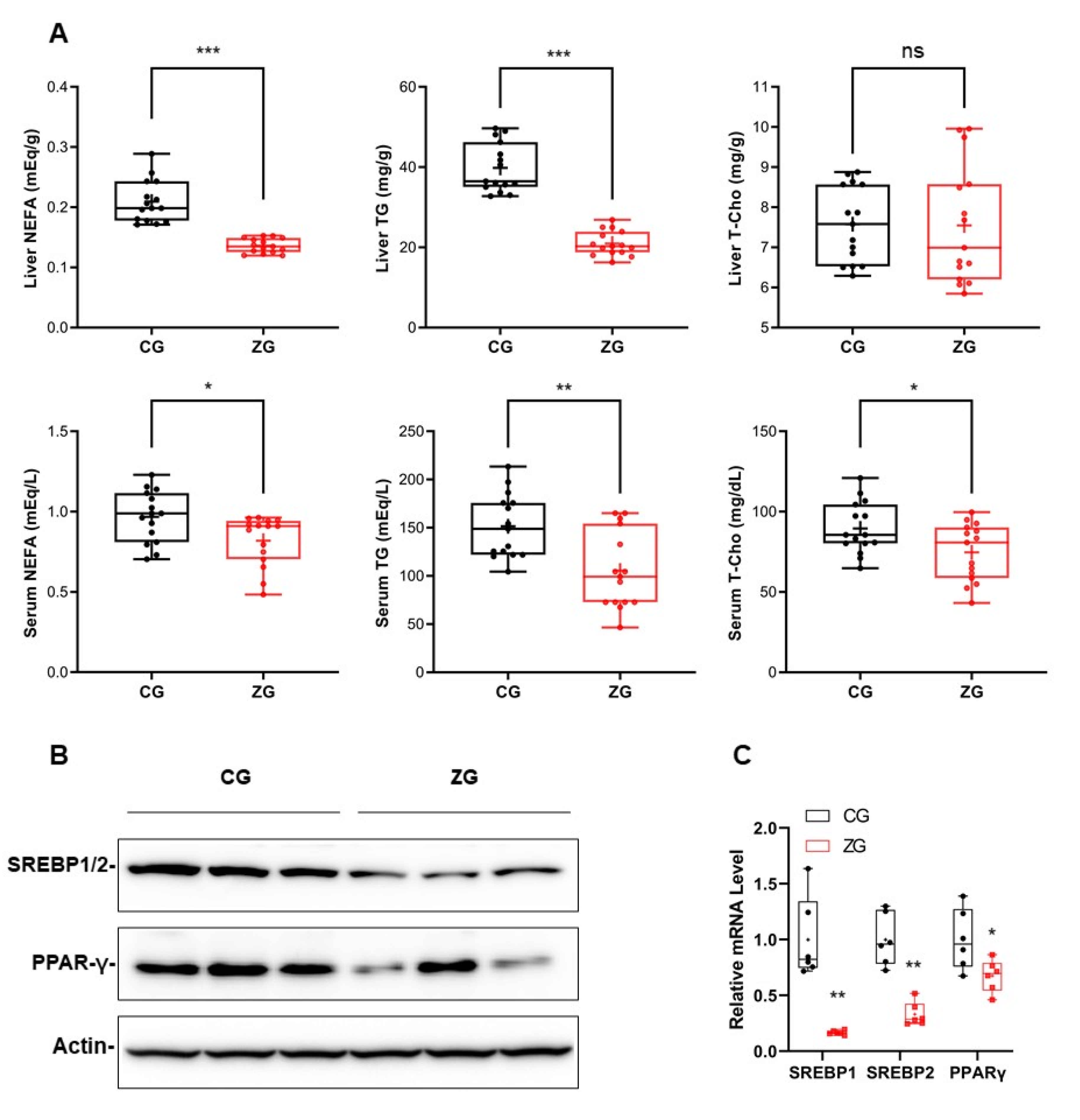Nutrients 13 03455 g003 550