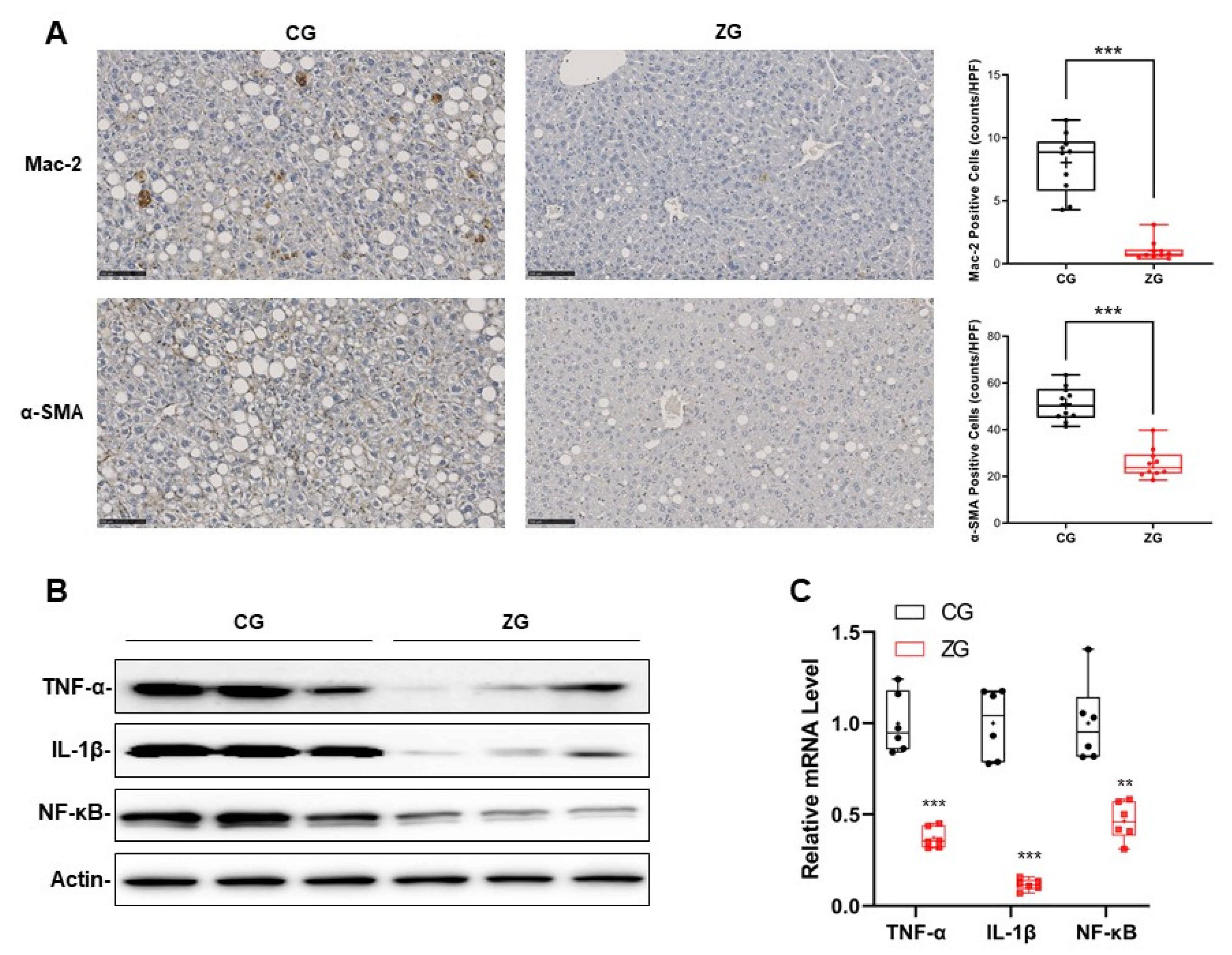 Nutrients 13 03455 g004 550