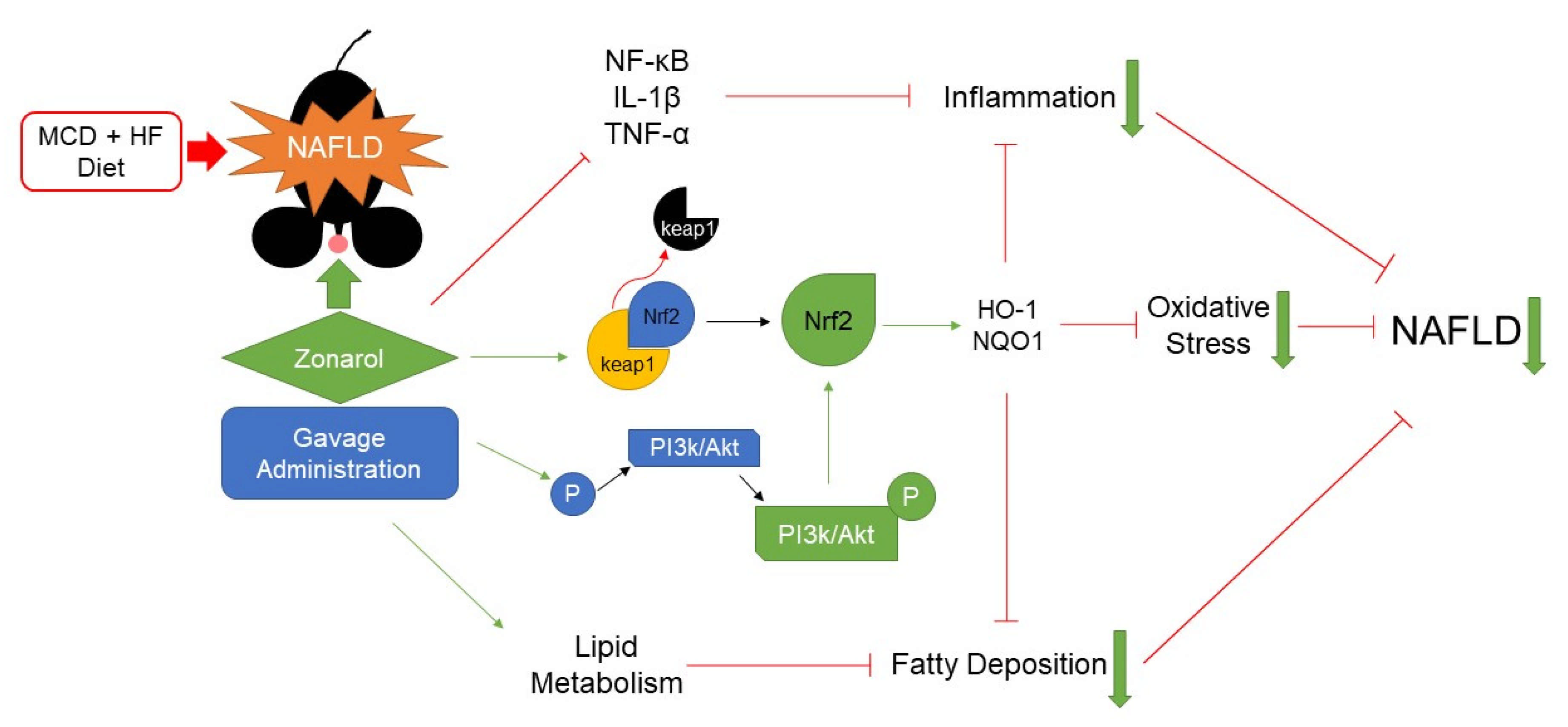Nutrients 13 03455 g006 550