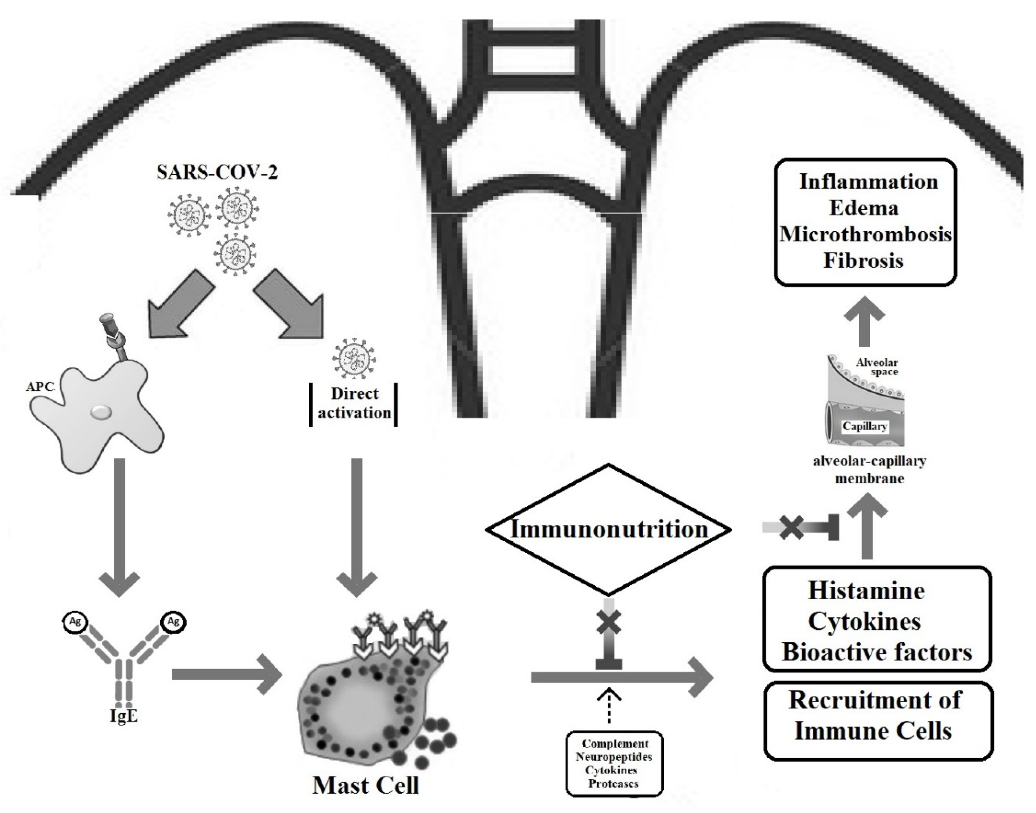 Nutrients 13 03458 g001 Nutrients 13 03458 g001