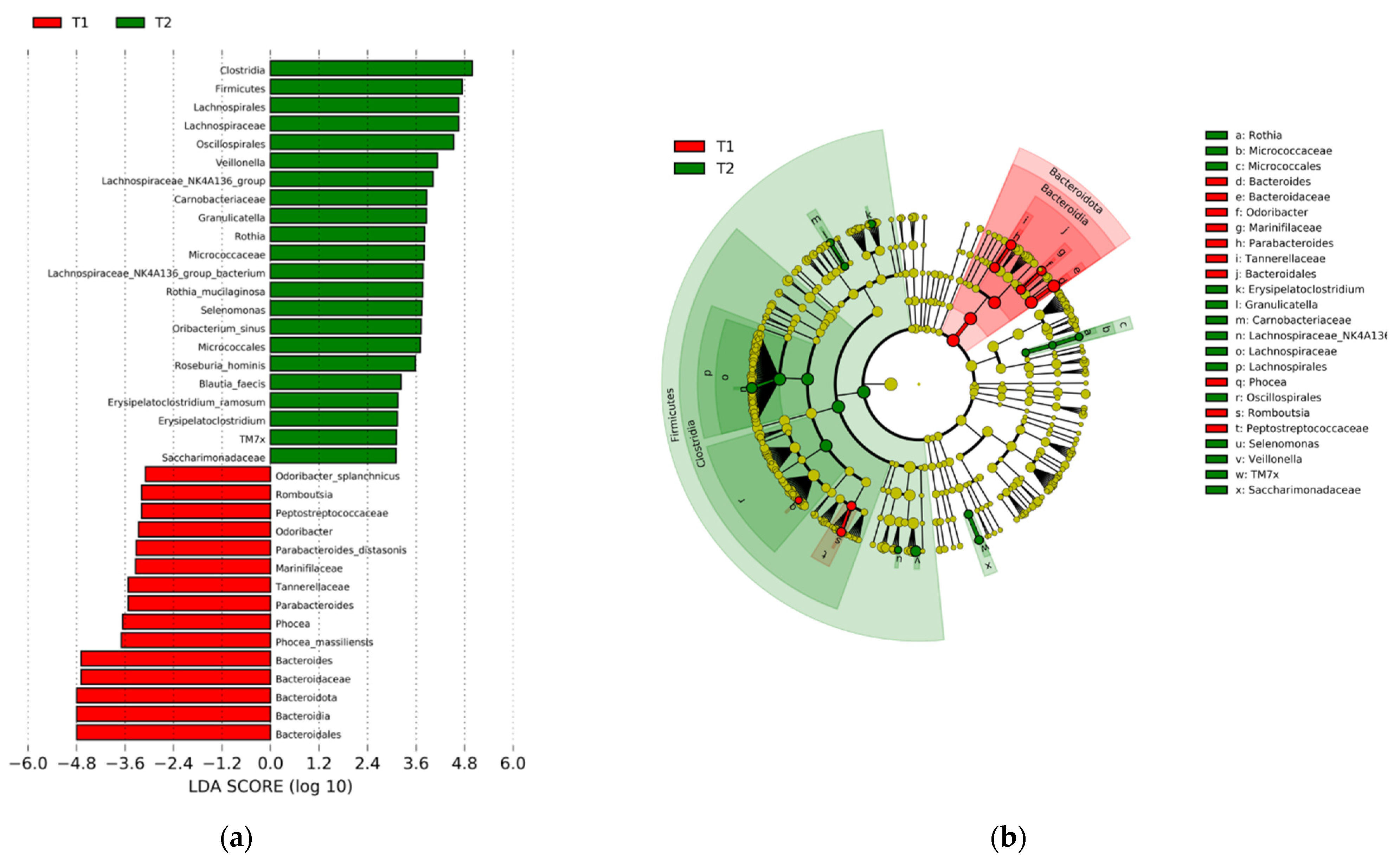 Nutrients 13 03459 g002