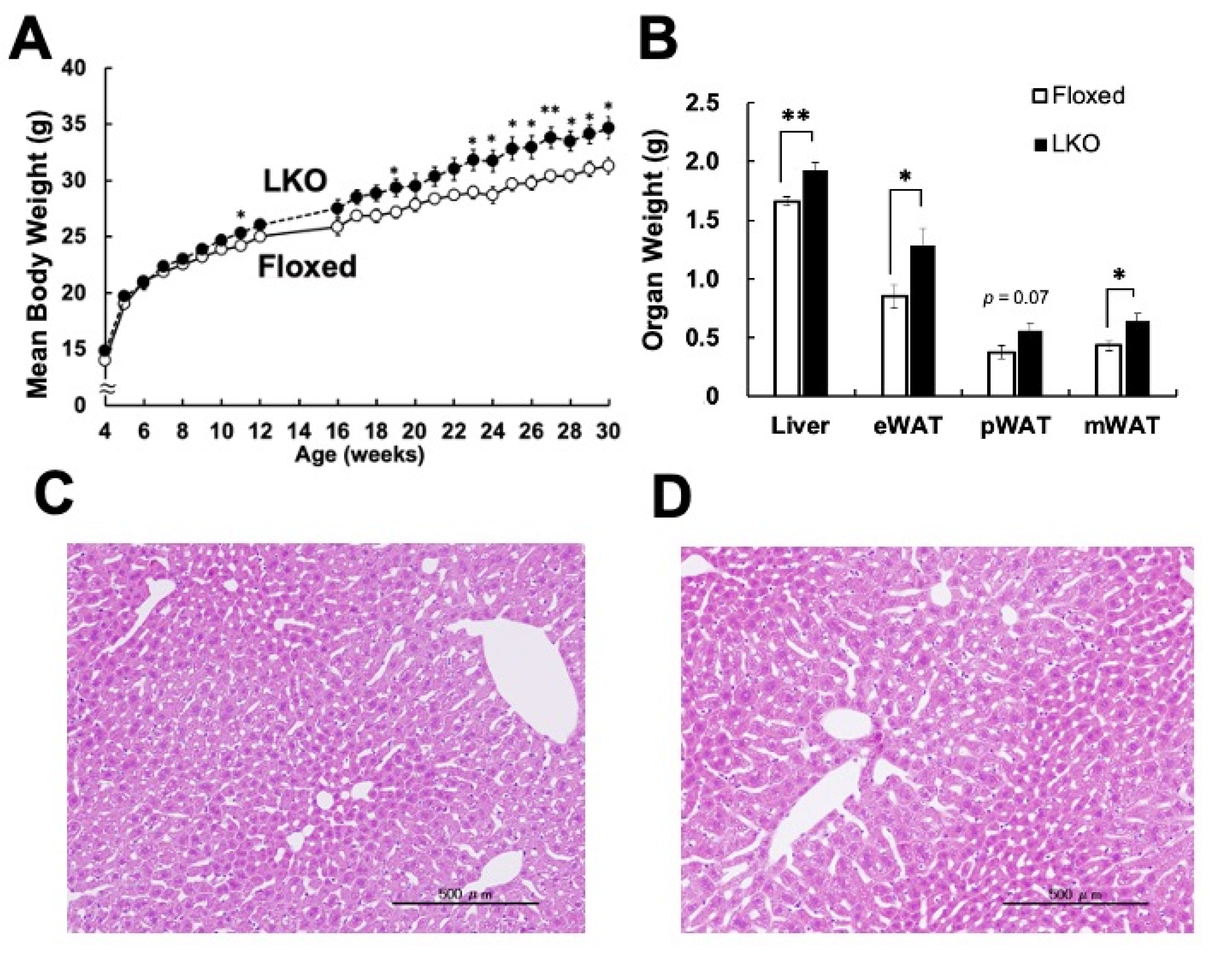 Nutrients 13 03468 g002