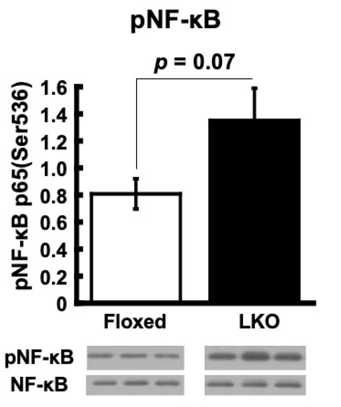 Nutrients 13 03468 g004