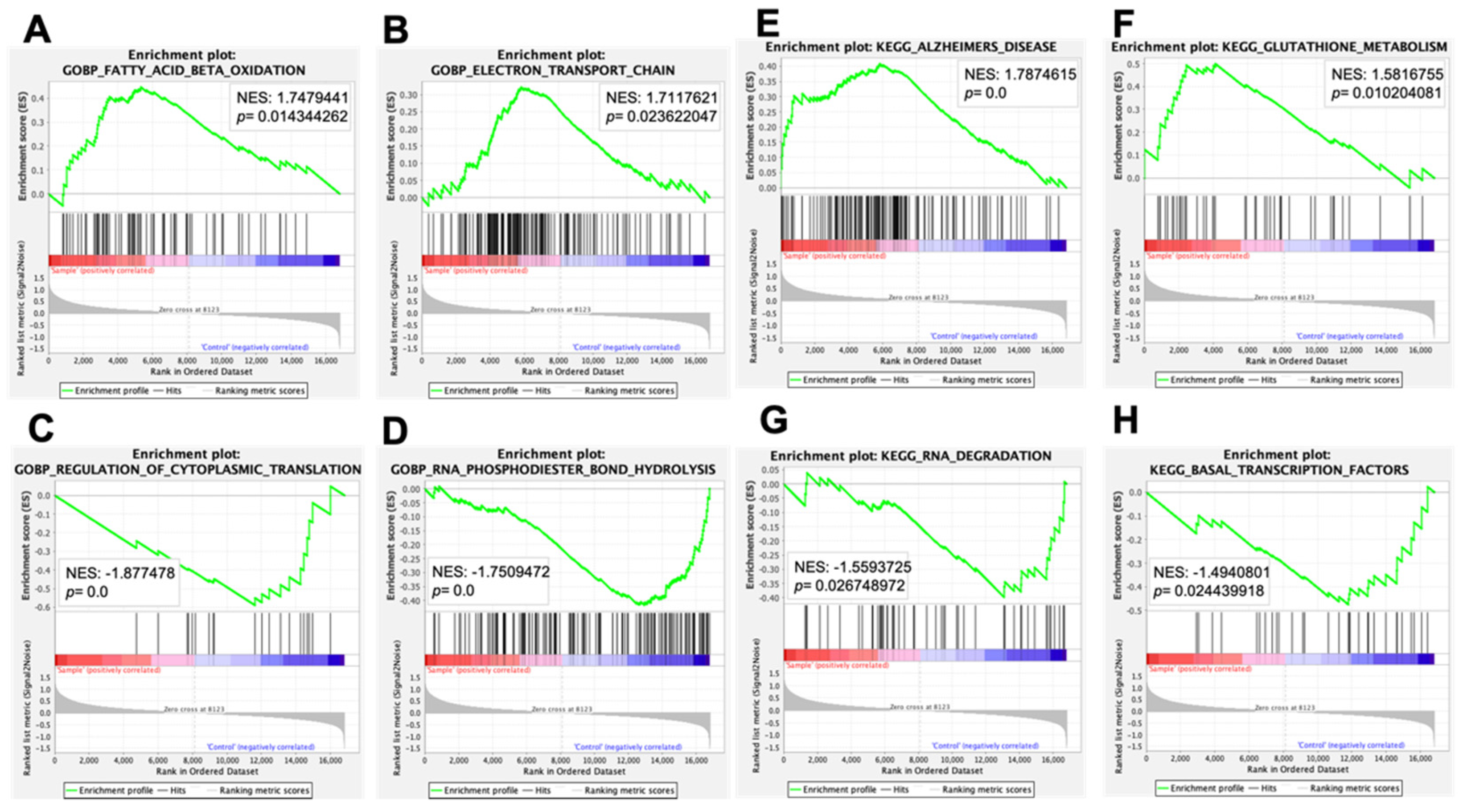 Nutrients 13 03468 g005
