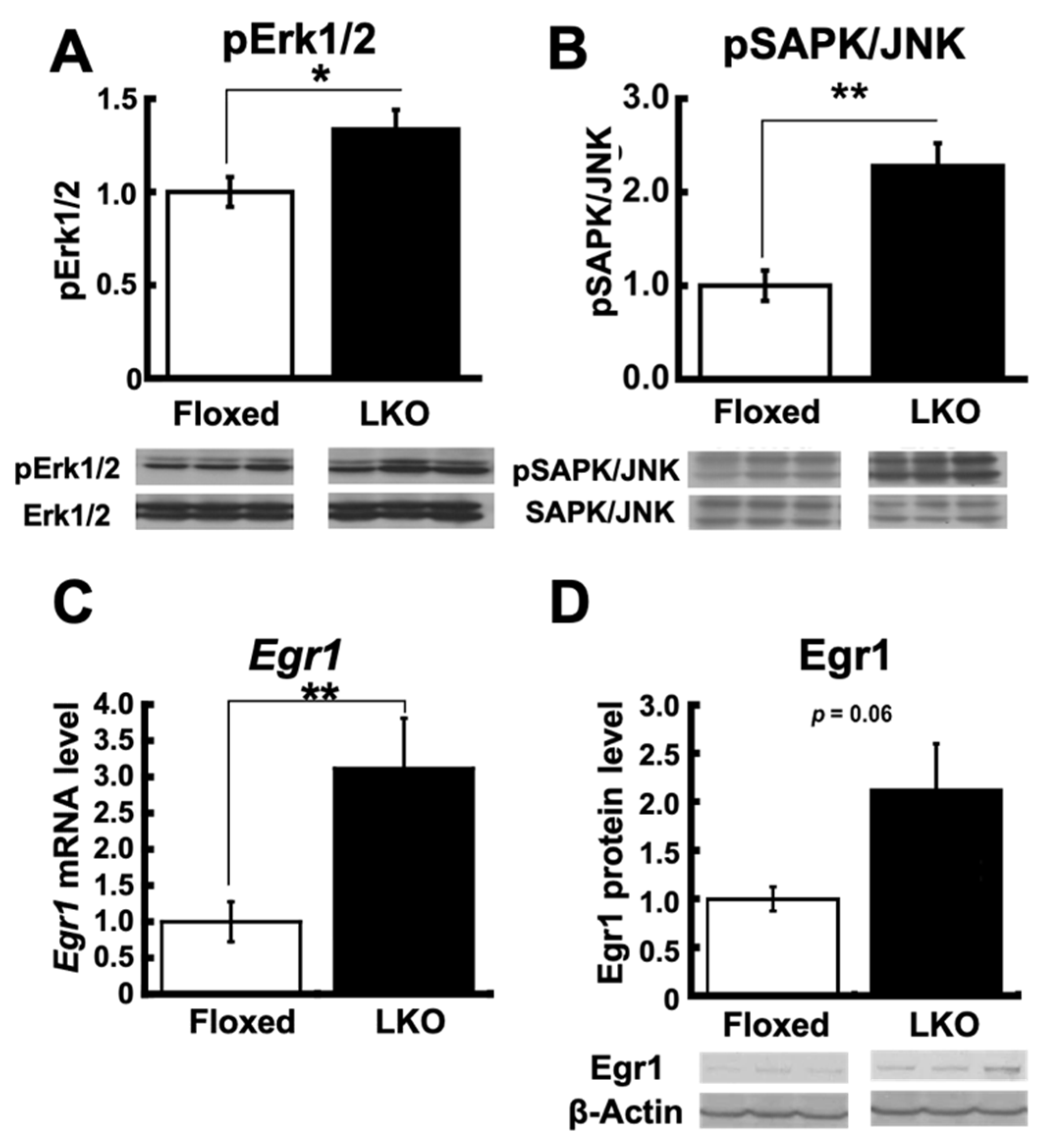 Nutrients 13 03468 g007