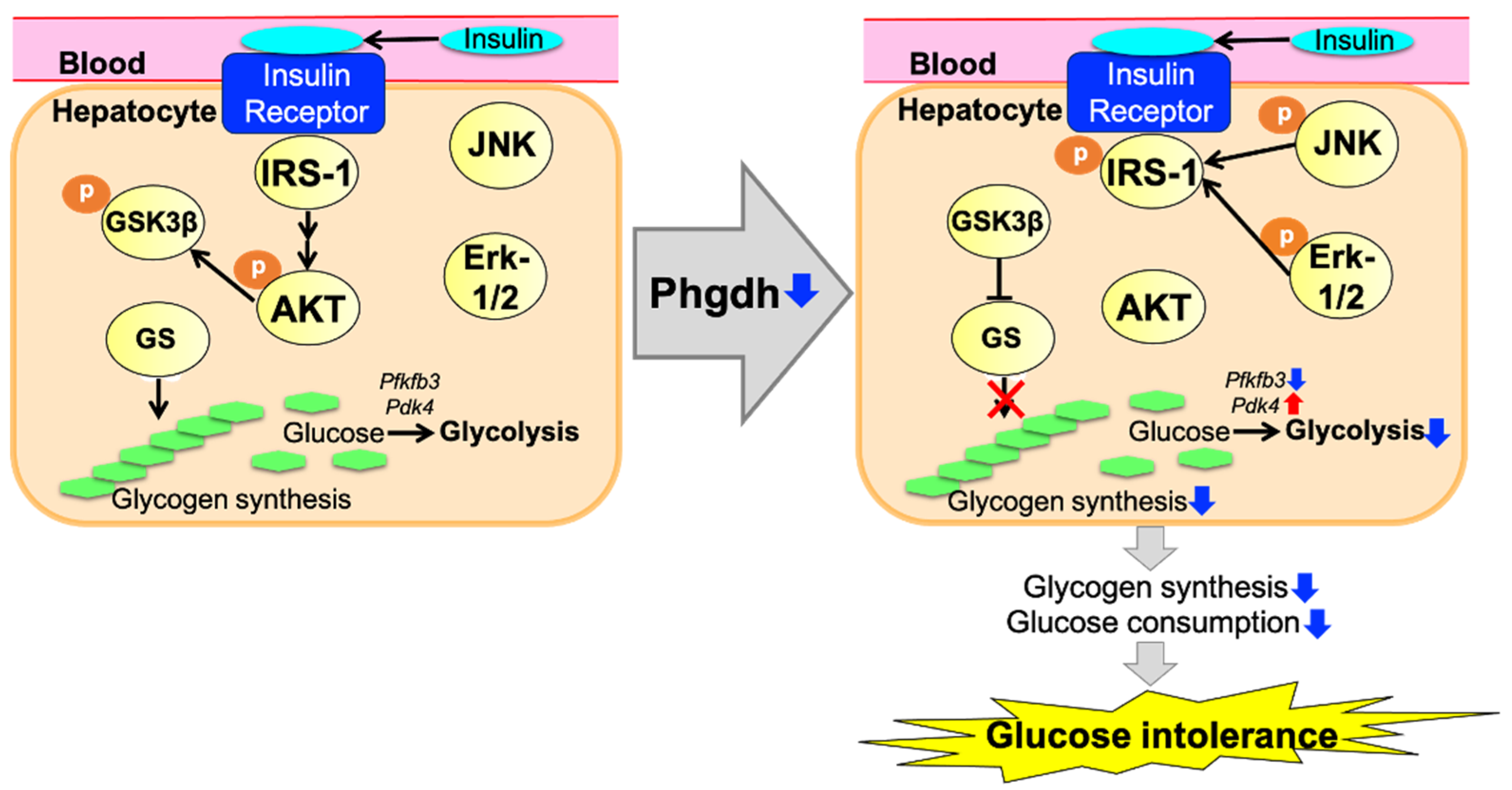 Nutrients 13 03468 g010