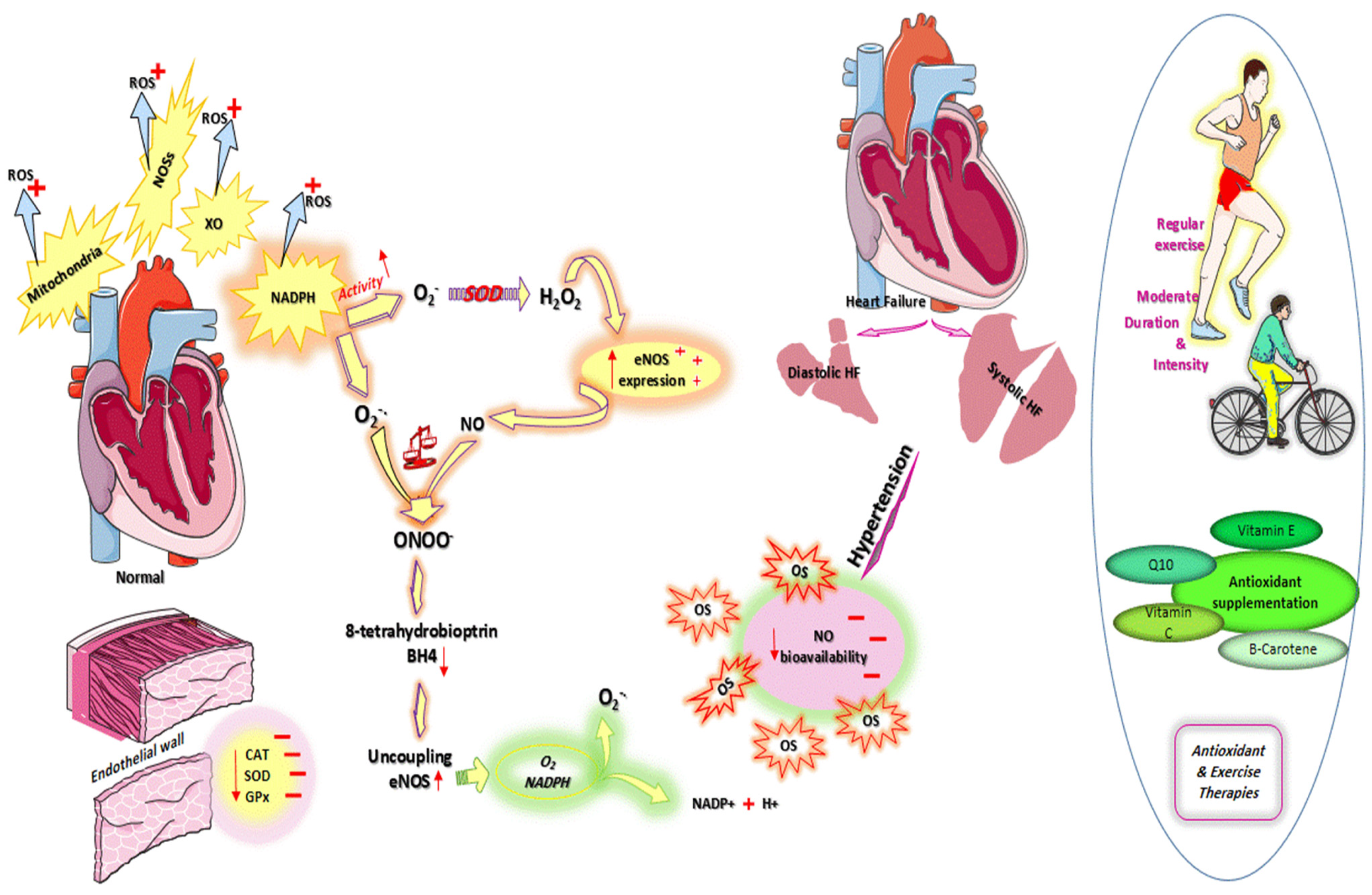 Nutrients 13 03483 g001 Nutrients 13 03483 g001