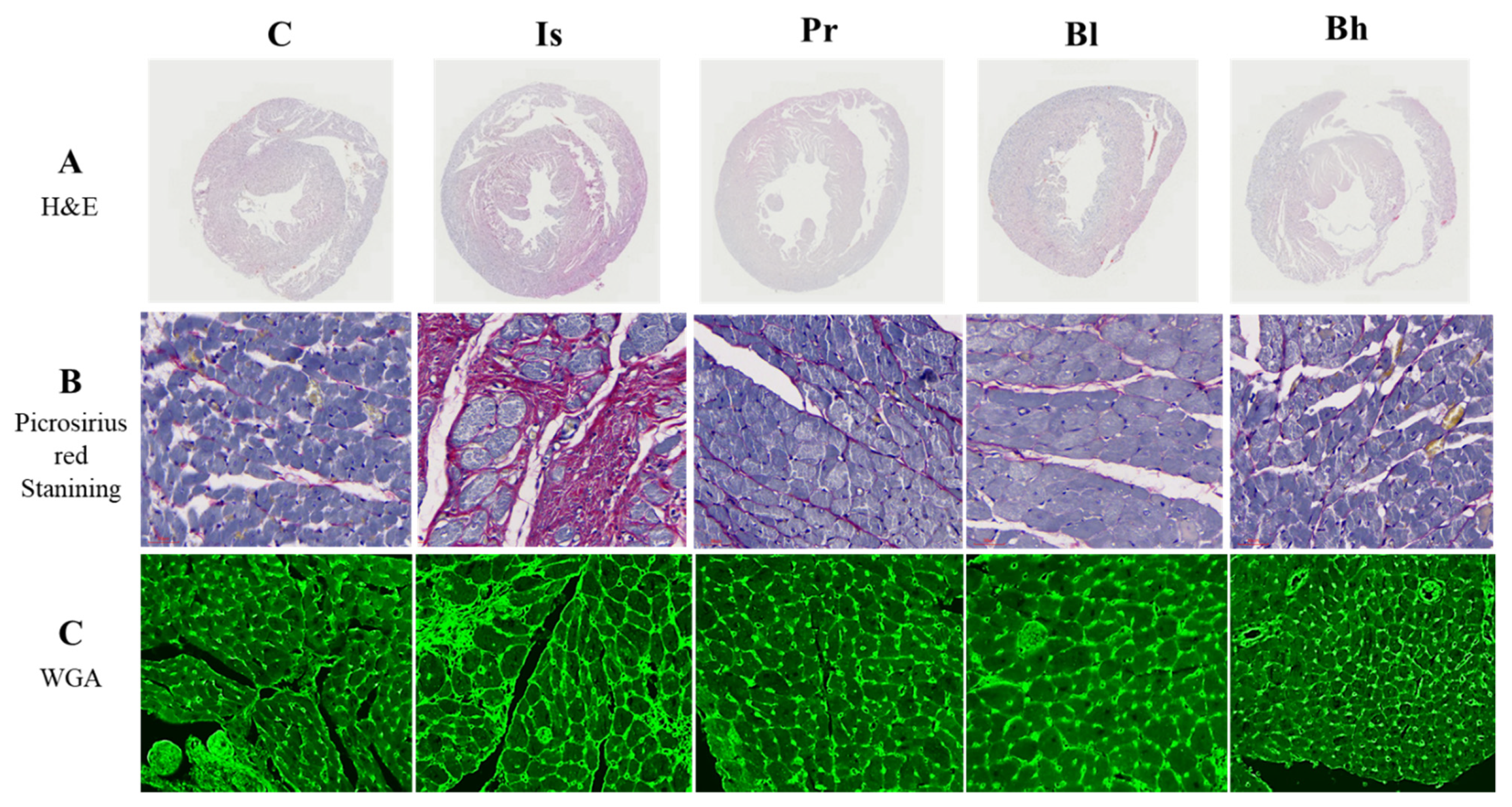 Nutrients 13 03484 g003