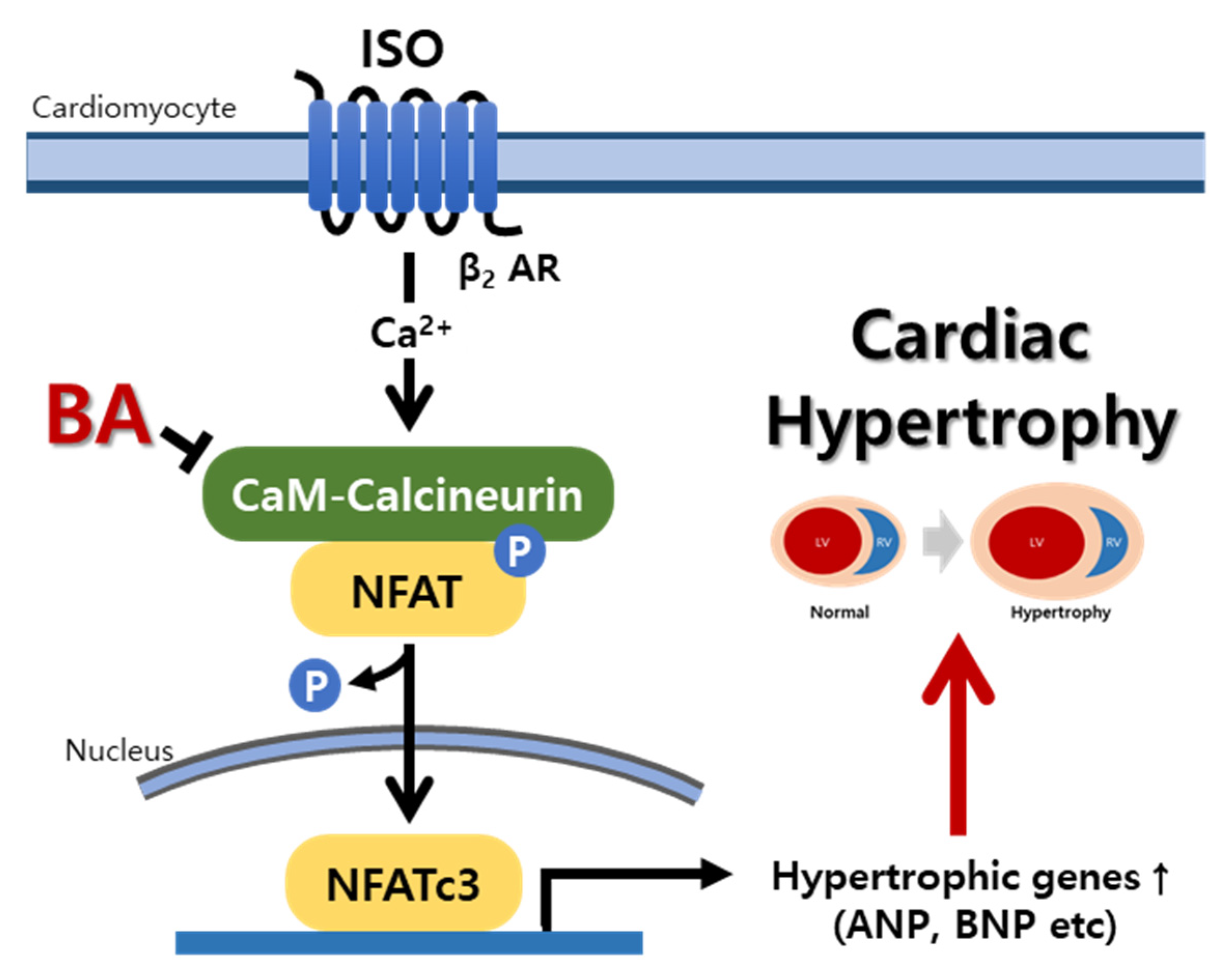 Nutrients 13 03484 g006