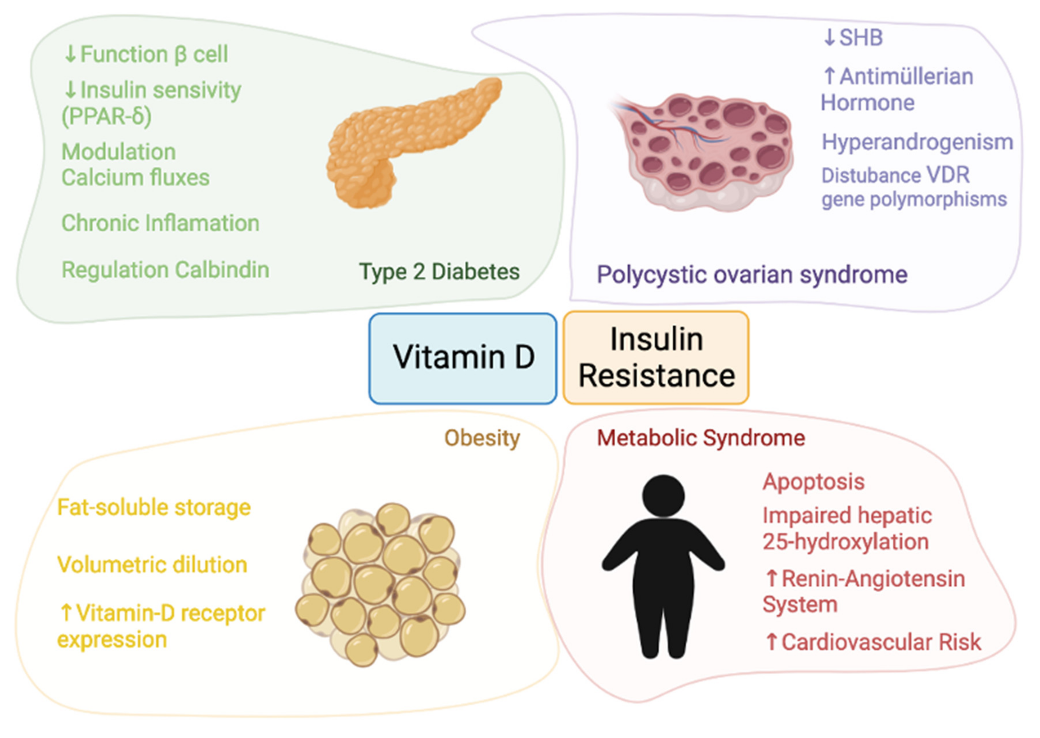 Insulin resistance and nutritional deficiencies