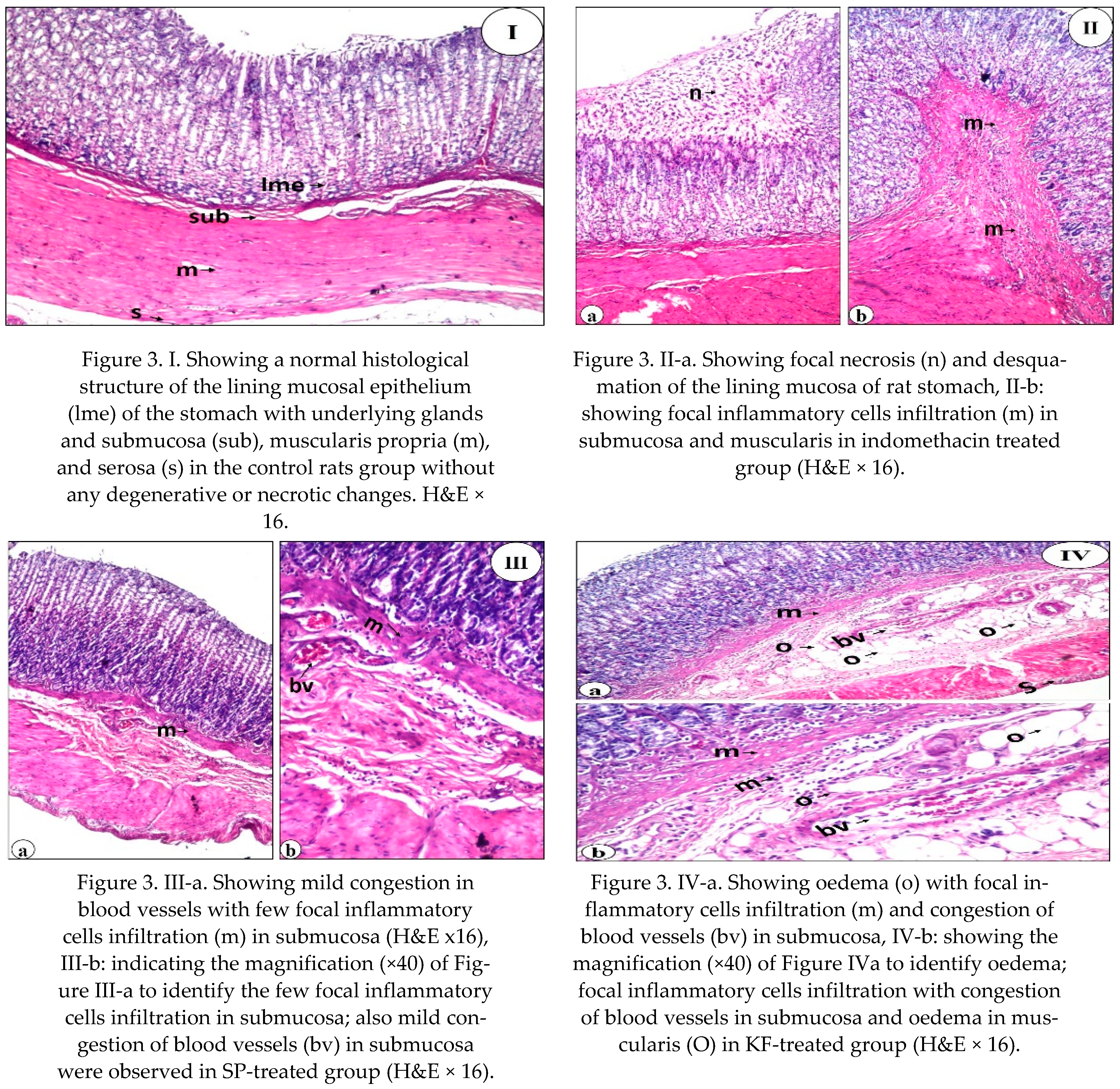 Nutrients 13 03499 g003a