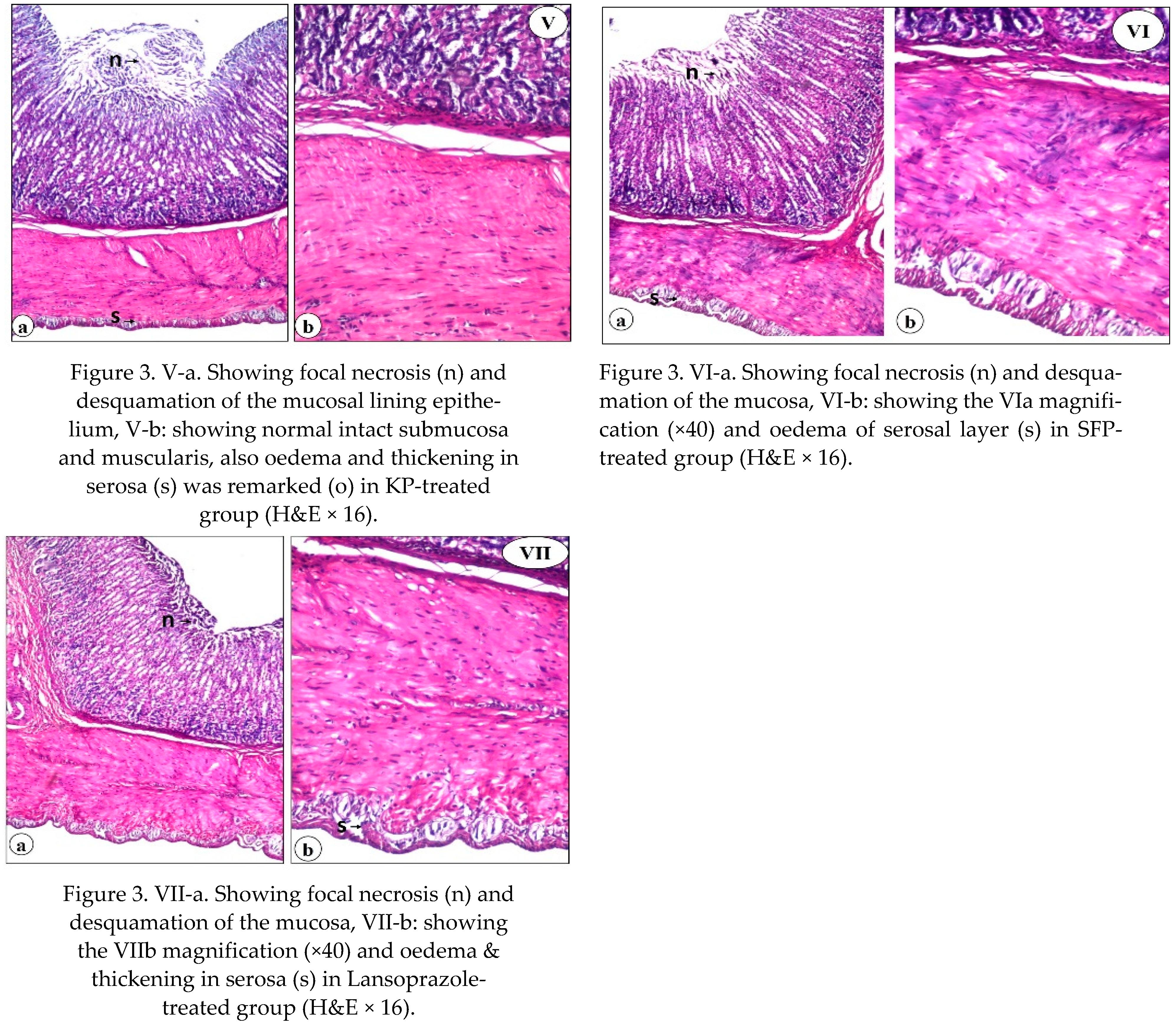 Nutrients 13 03499 g003b
