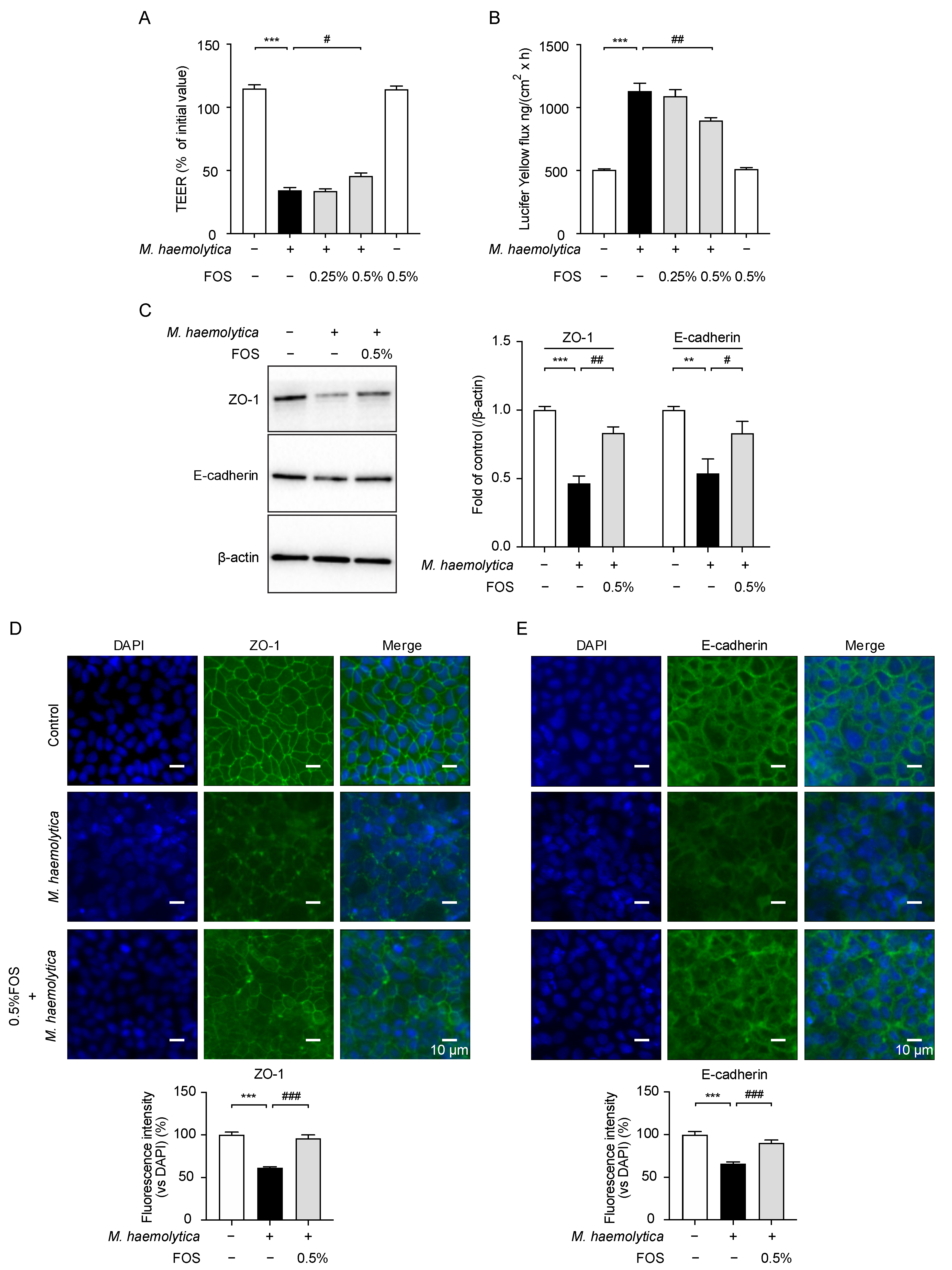 Nutrients 13 03514 g005