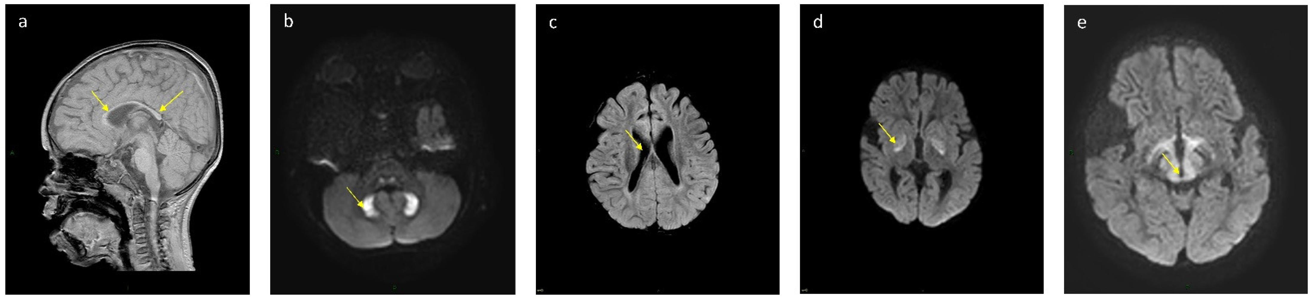 Nutrients 13 03523 g001 550
