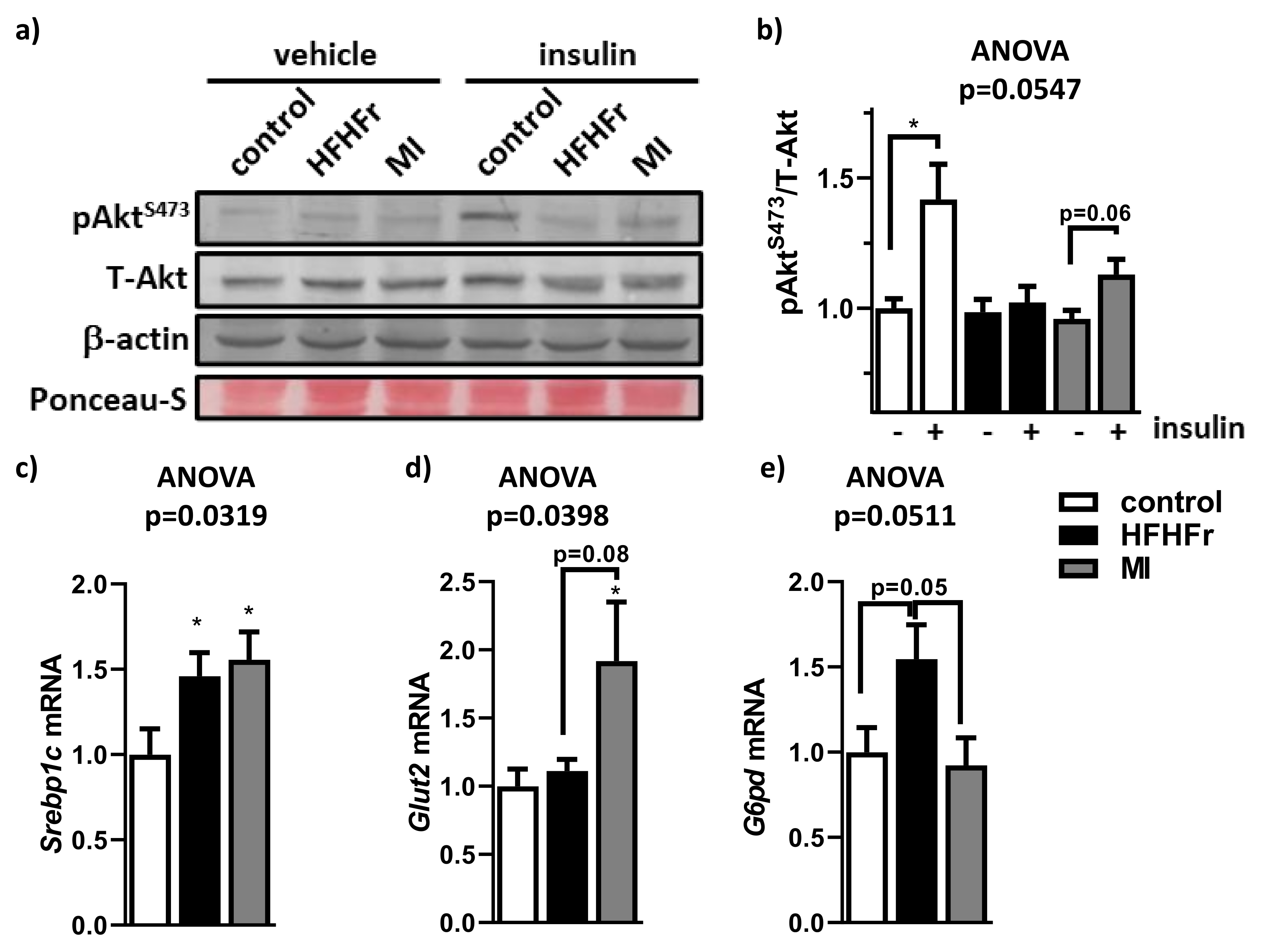 Nutrients 13 03532 g007